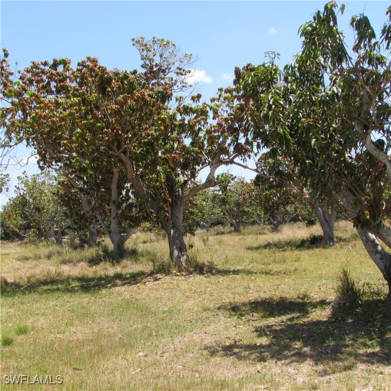 Bokeelia, Florida, 33922, United States, ,Residential,For Sale,1791645