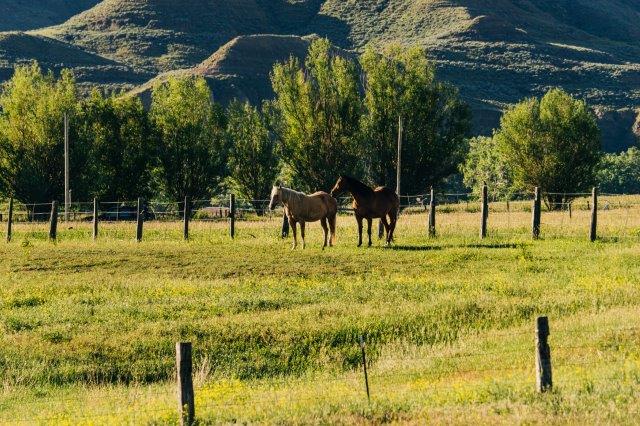 4355 US HWY 14-16, Clearmont, Wyoming, 82835, United States, 3 Bedrooms Bedrooms, ,1 BathroomBathrooms,Residential,For Sale,4355 US HWY 14-16,1513629
