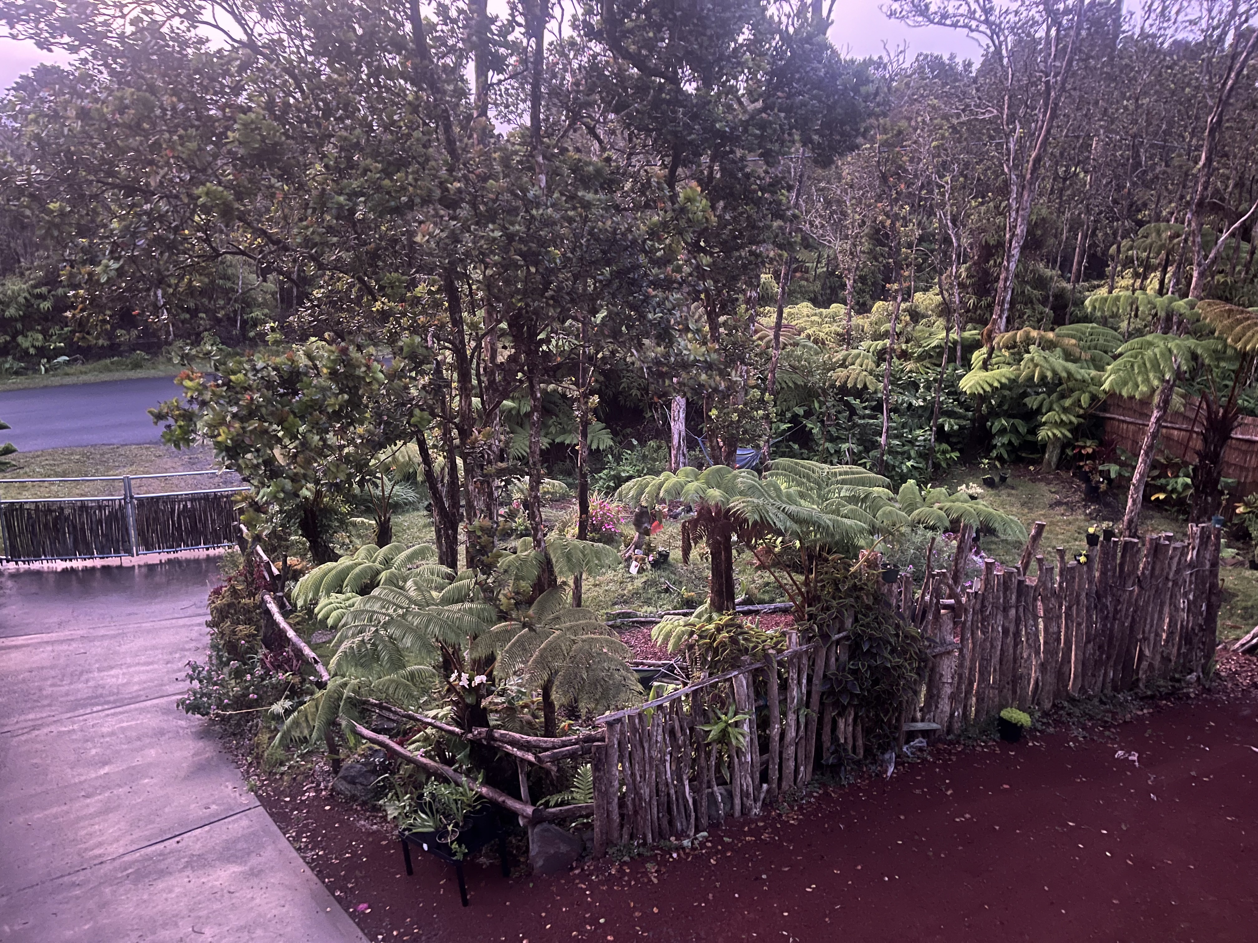 Volcano, Hawaii, 96785, United States, 2 Bedrooms Bedrooms, ,1 BathroomBathrooms,Residential,For Sale,1978172