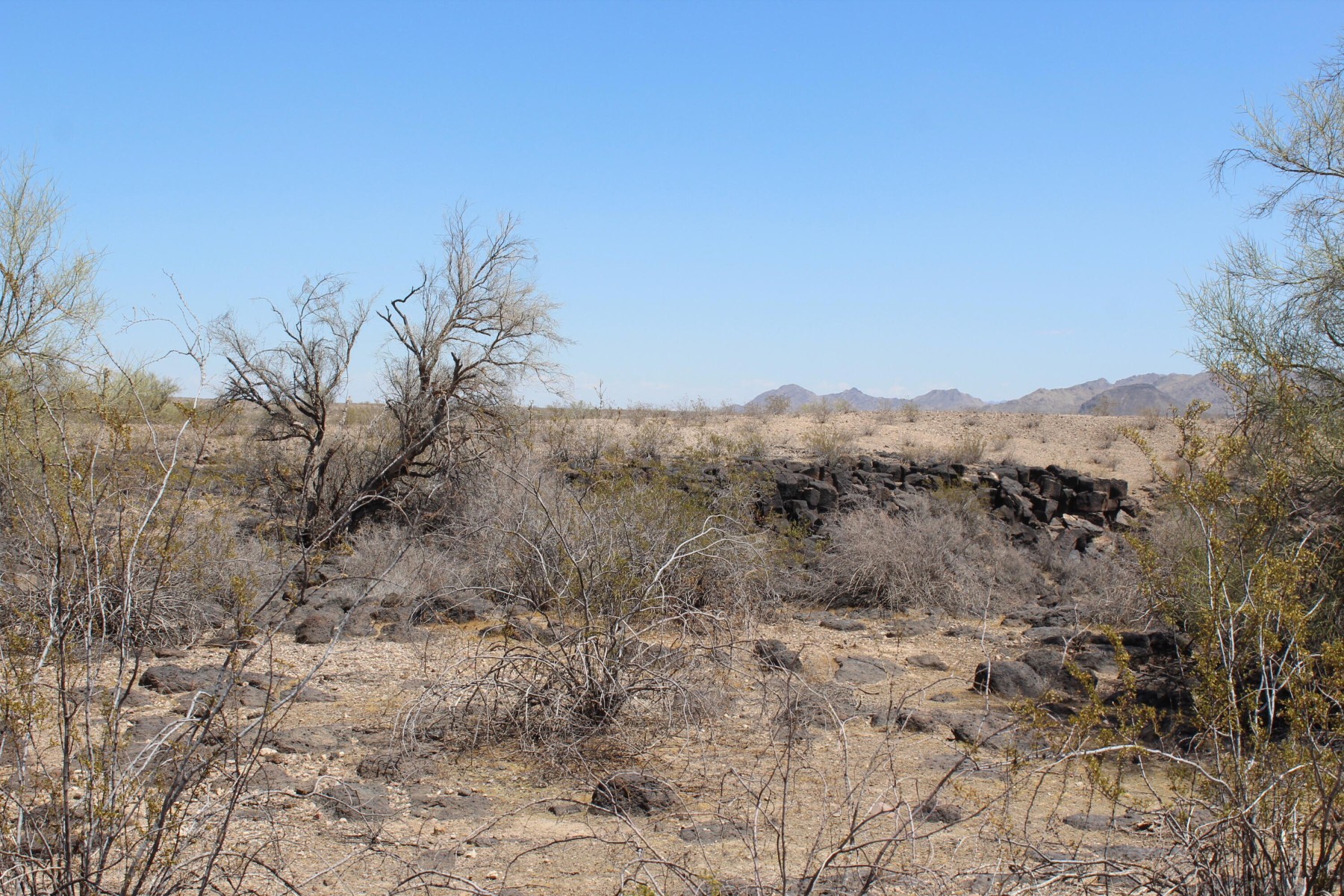  11 S 337th Avenue, Arlington, AZ, 85322 - 物件實景