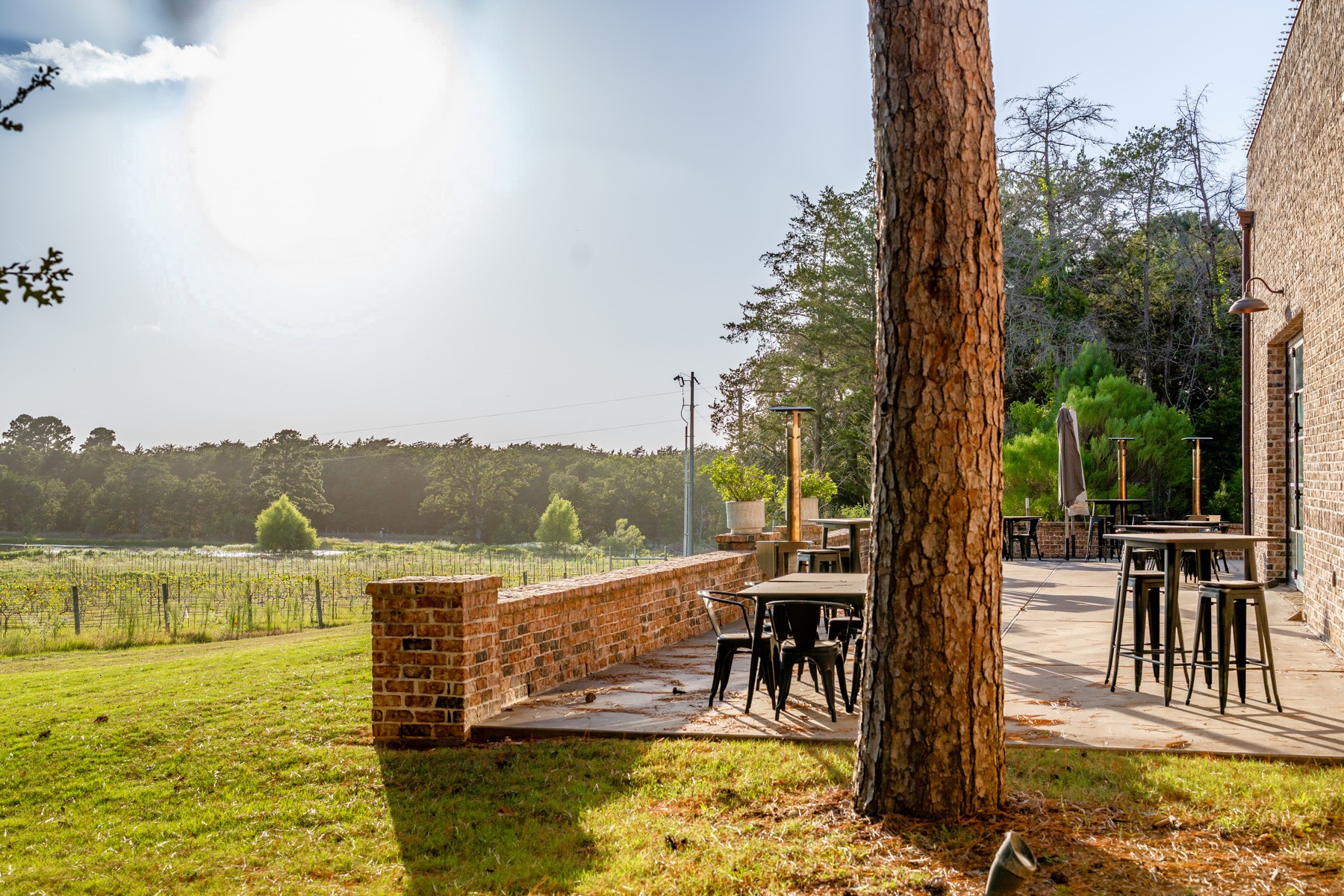  25200A Bernard Road, New Ulm, TX, 78950 - 物件實景
