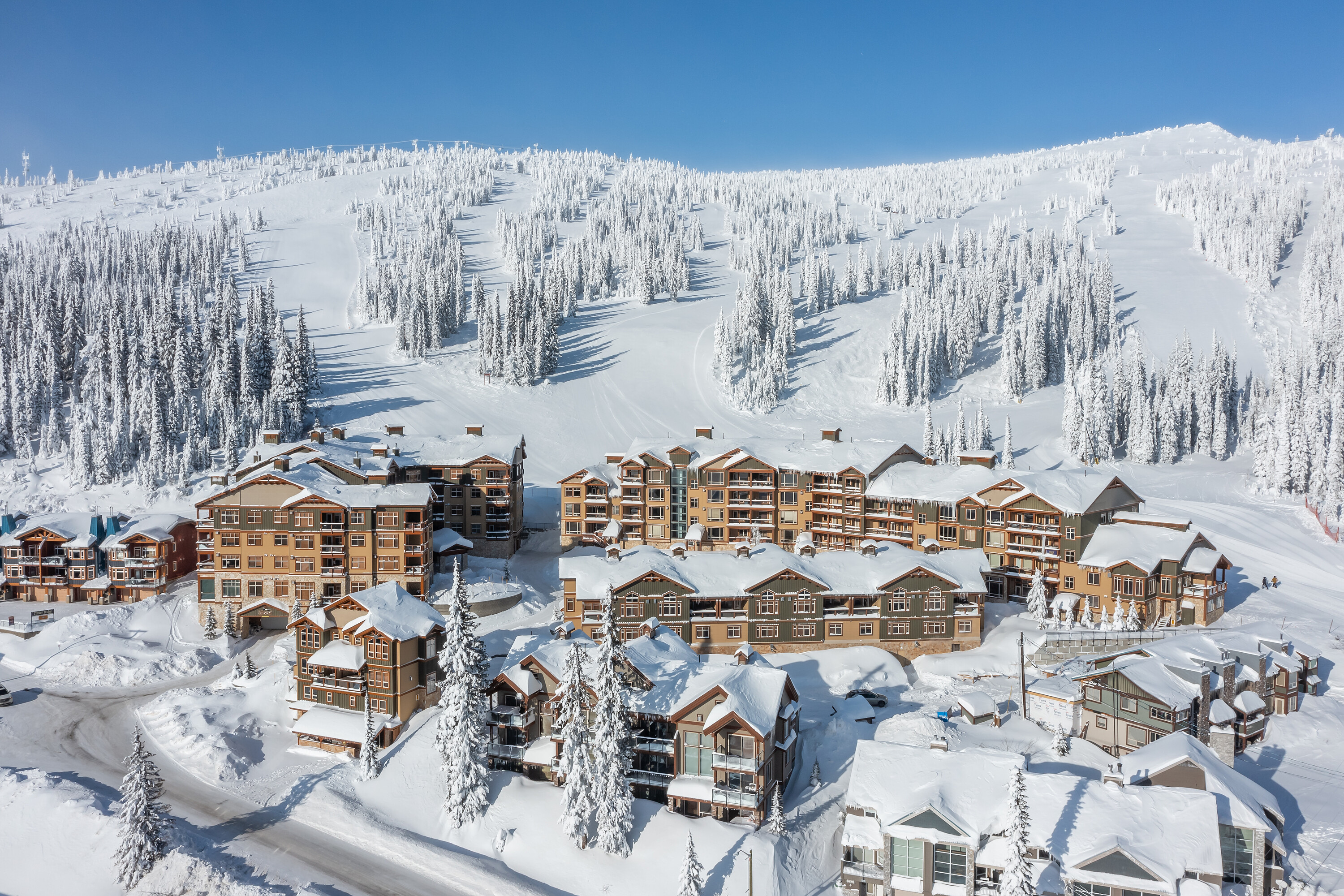  Ultimate Mountain Retreat - 物件實景