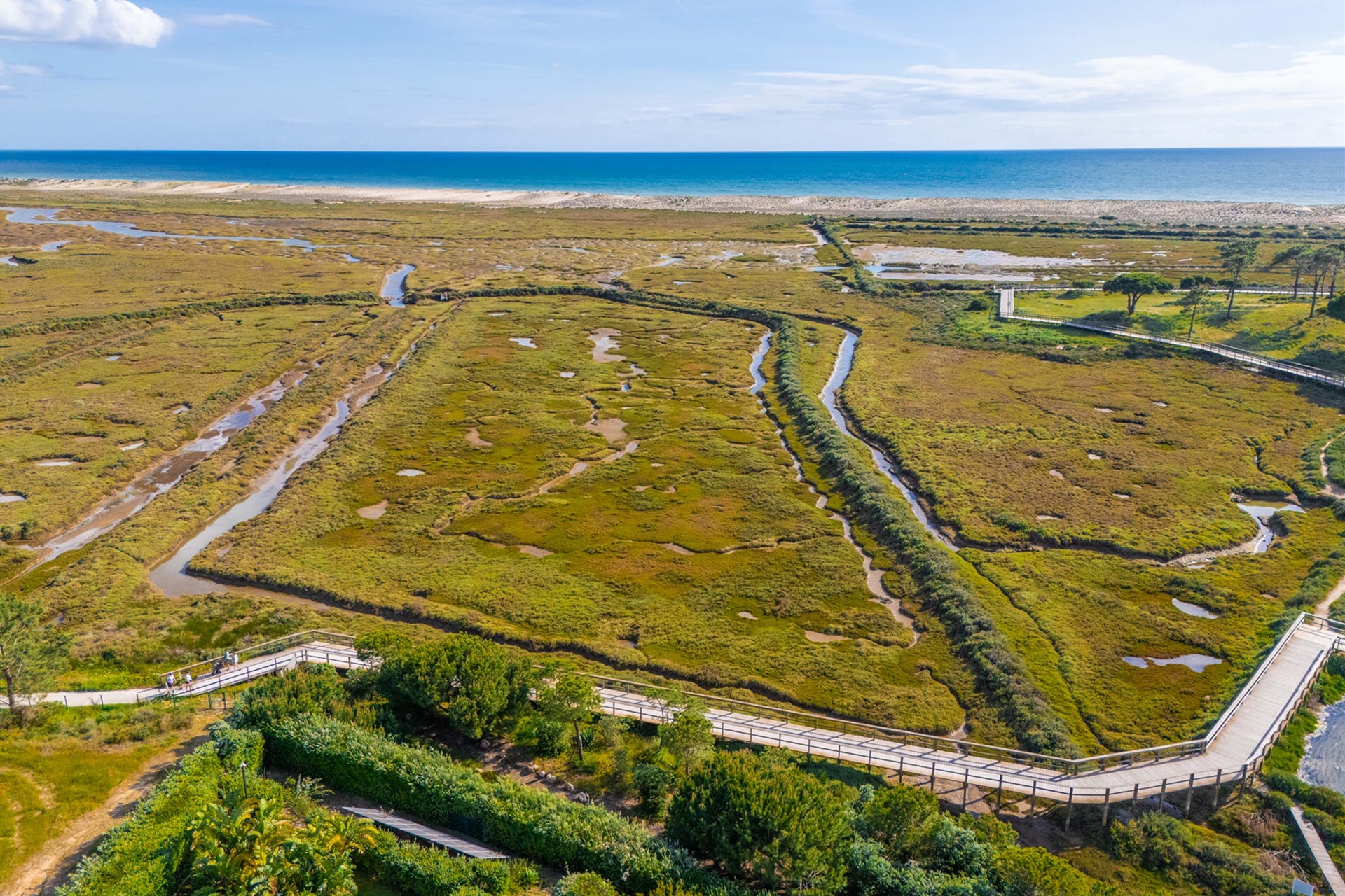  Detached house, 5 bedrooms, for Sale - 物件實景