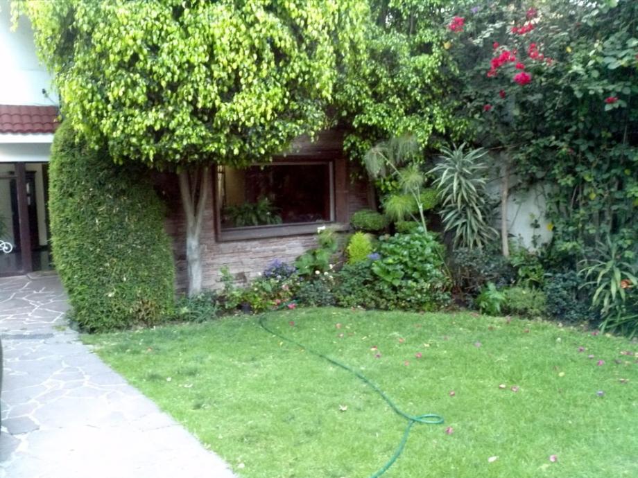Begonias, Álvaro Obregón, Ciudad de México, 01060, Mexico, 4 Bedrooms Bedrooms, ,4 BathroomsBathrooms,Residential,For Sale,Begonias,1415971