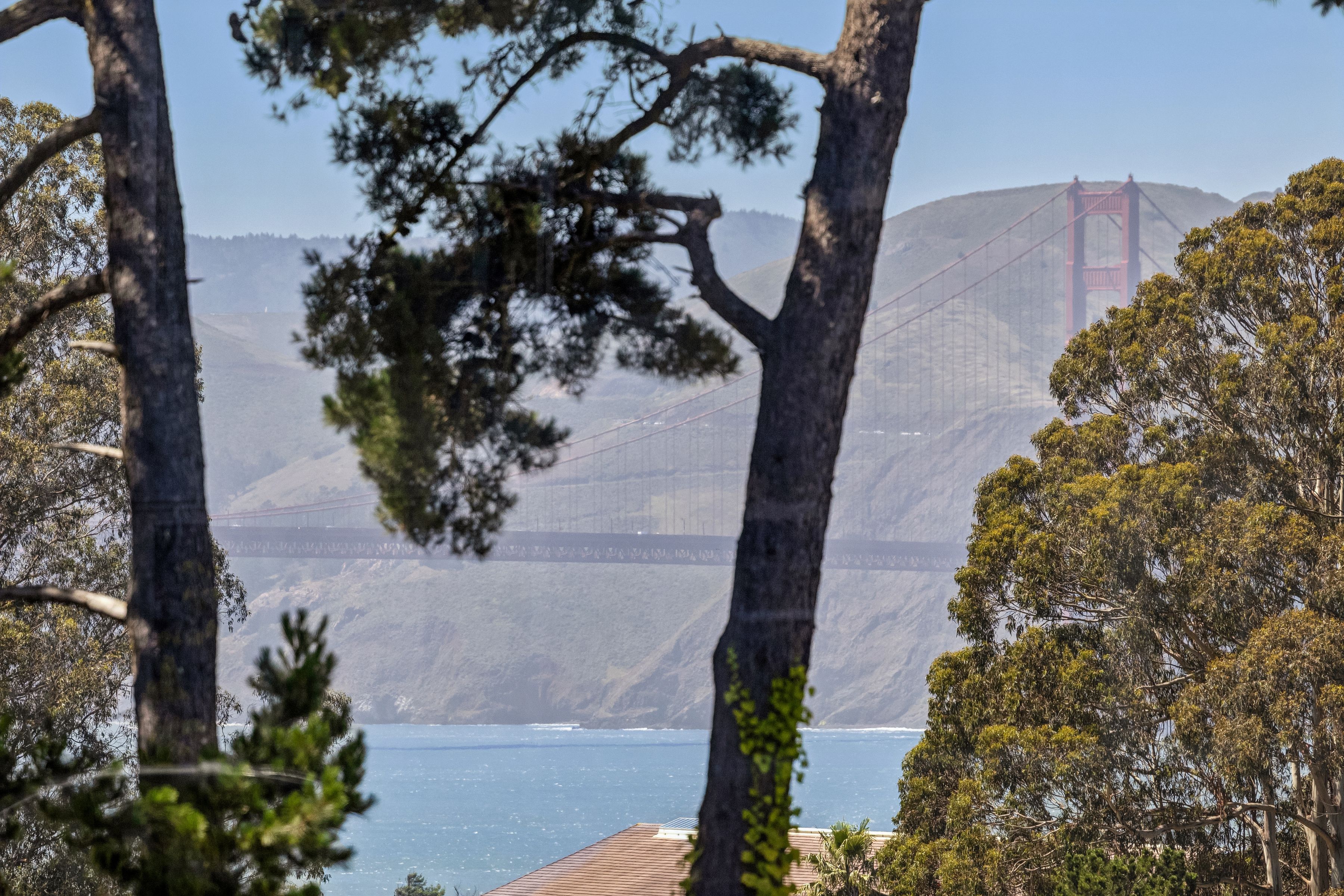 Cow Hollow Edwardian with Presidio Views - 物件實景