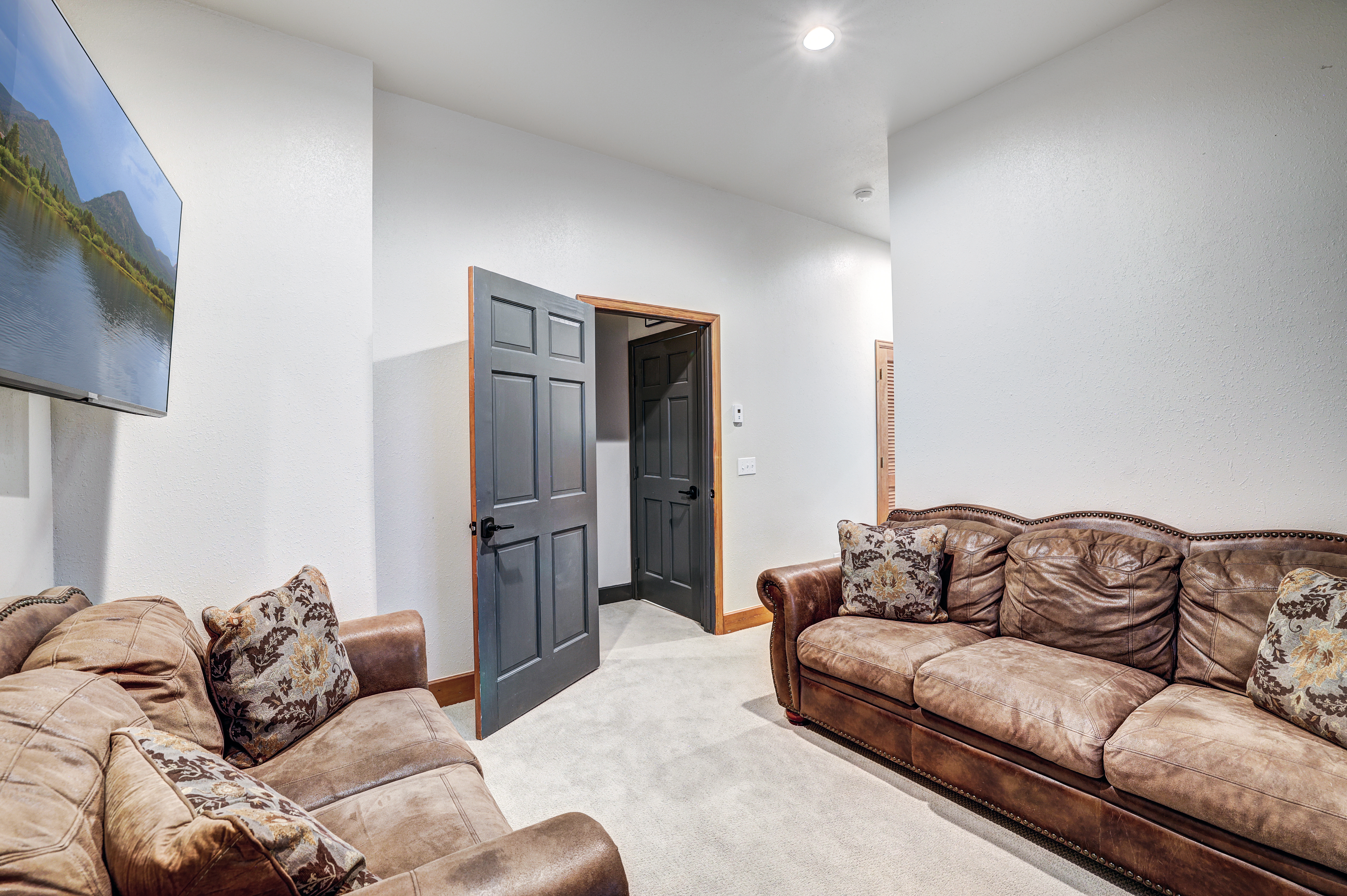  1095 Quartzville,Alma, CO, 80420 - 物件實景