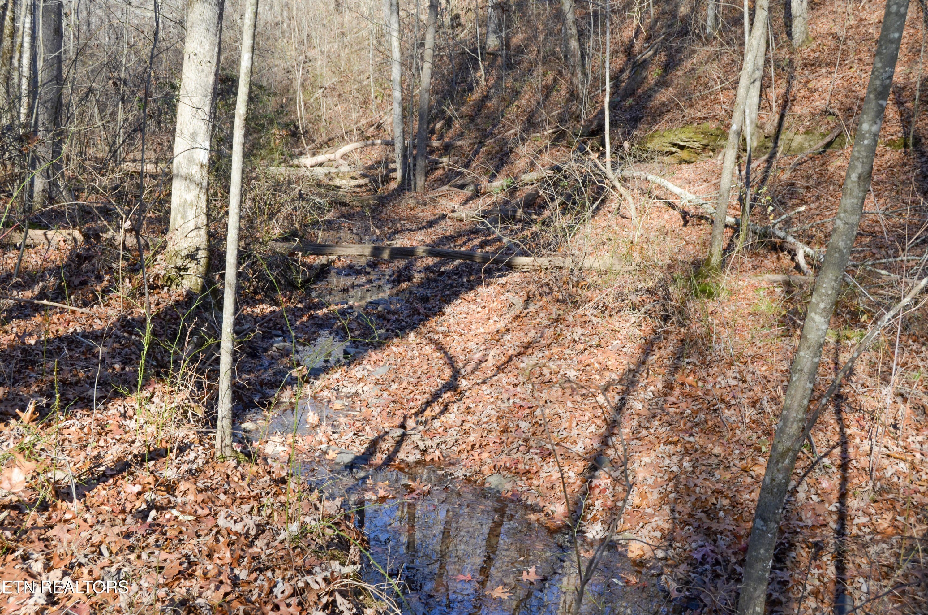 Crossville, Tennessee, 38555, United States, ,Land,For Sale,1978266