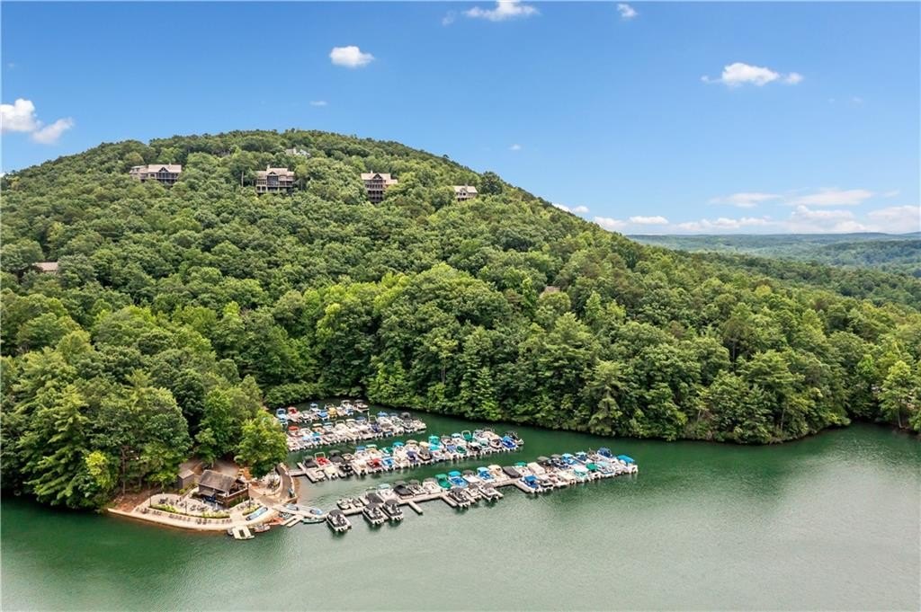 Jasper, Georgia, 30143, United States, 3 Bedrooms Bedrooms, ,4 BathroomsBathrooms,Residential,For Sale,1984000