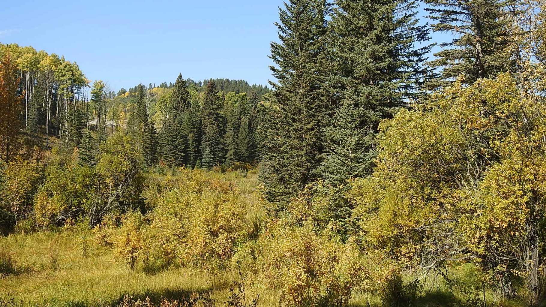 RURAL FOOTHILLS COUNTY, Alberta, T0L 1K0, CA, ,Residential,For Sale,1836944