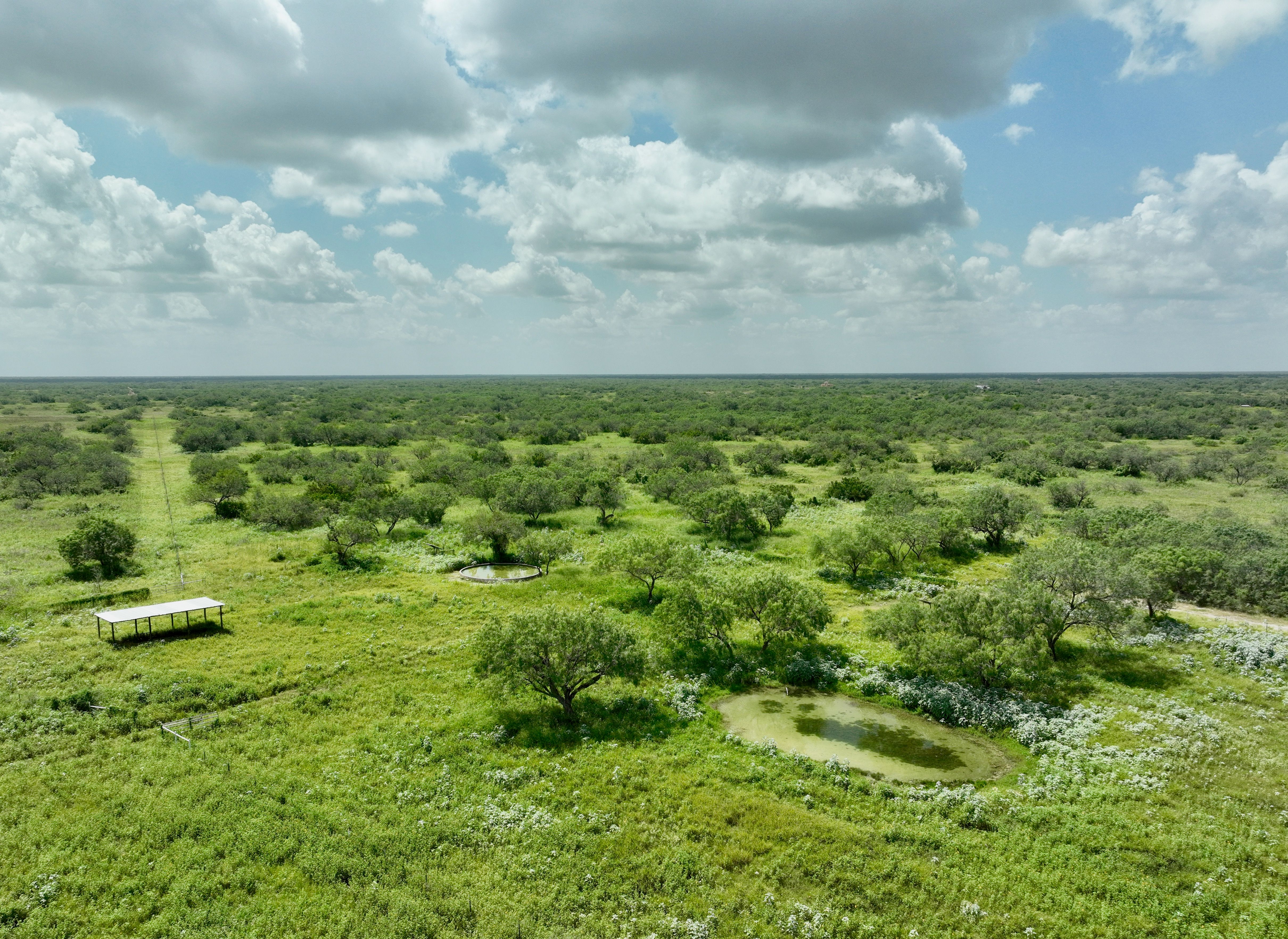 Mesquite Tree Ranch - 物件實景