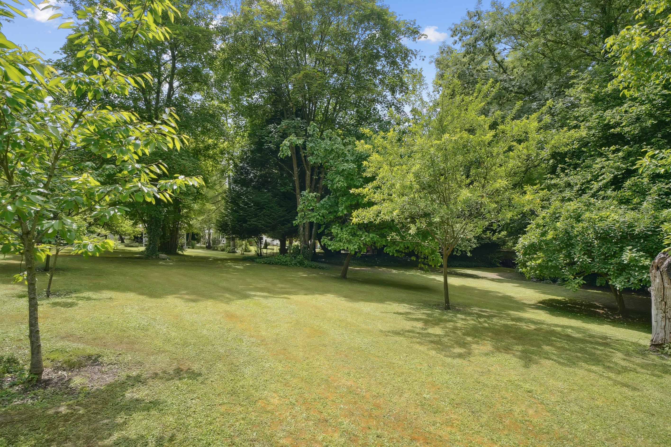  CHARMING PROPERTY ON THE OUTSKIRTS OF PARIS - 物件實景