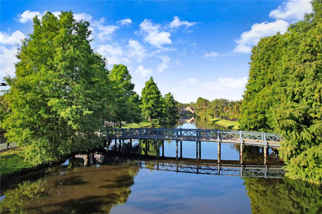 Tampa, Florida, 33626, United States, 4 Bedrooms Bedrooms, ,3 BathroomsBathrooms,Residential,For Sale,2002942