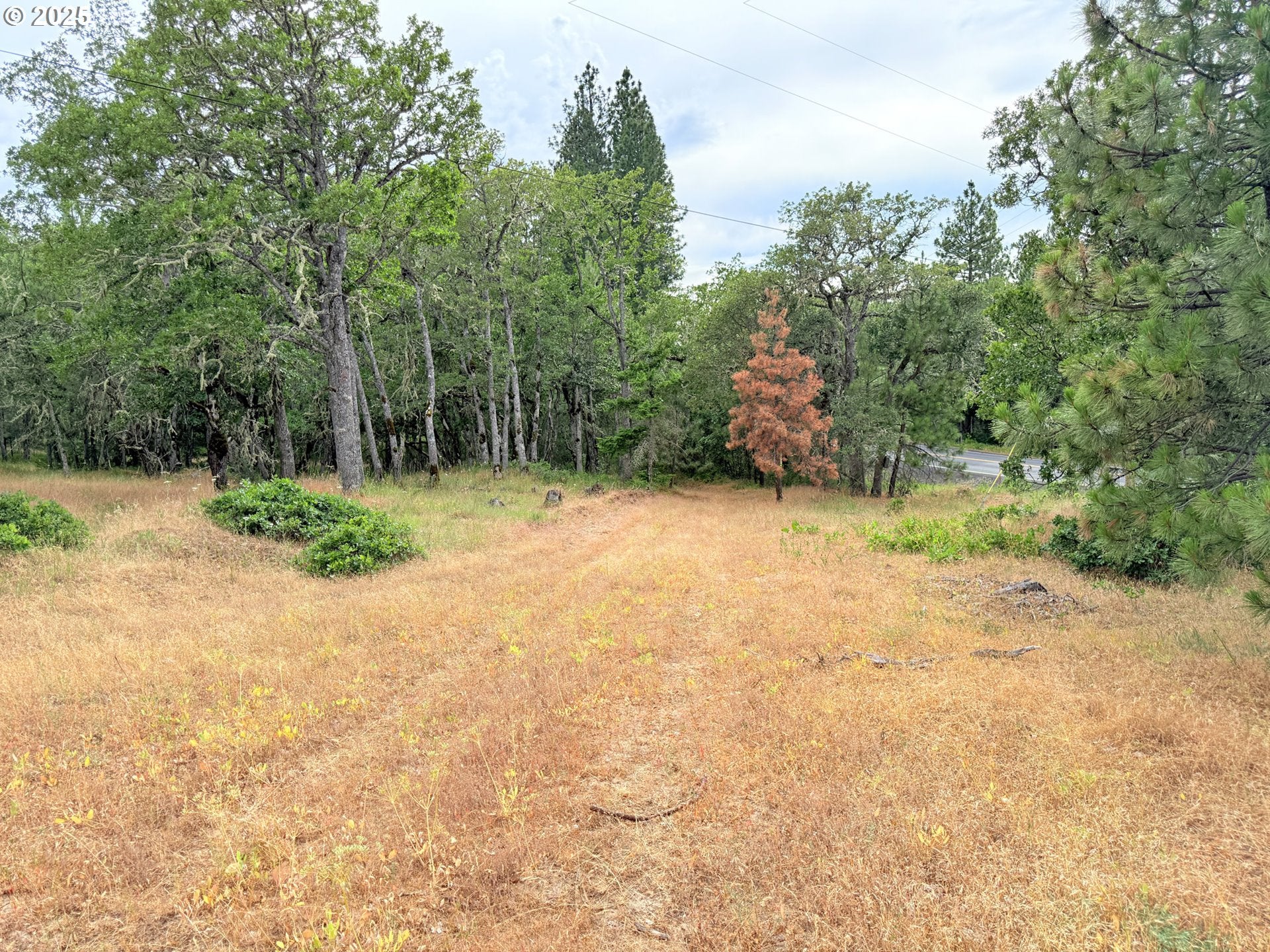 Lyle, Washington, 98635, United States, 3 Bedrooms Bedrooms, ,2 BathroomsBathrooms,Residential,For Sale,1875194