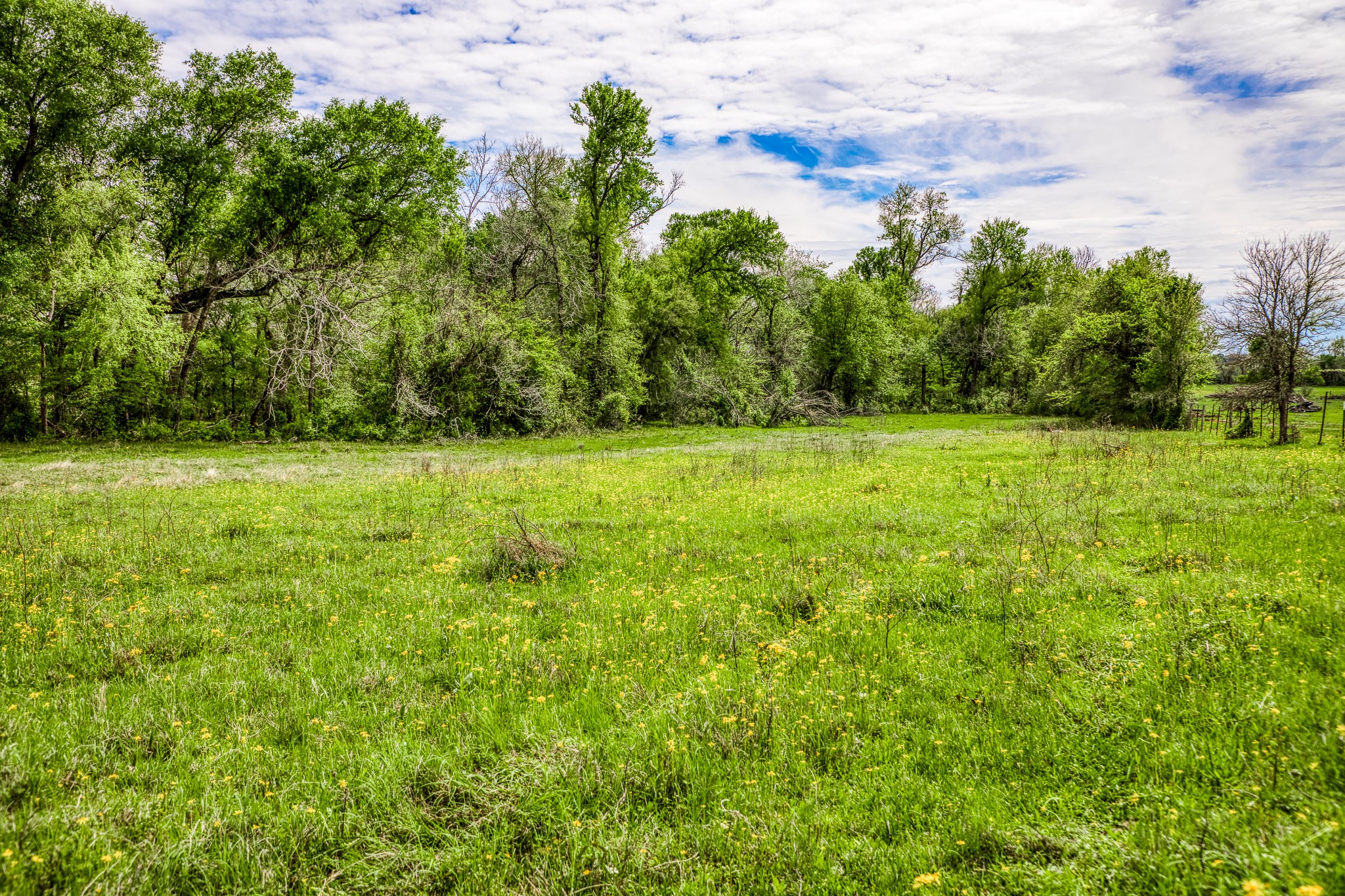  20751 Fm 1155, Washington, TX, 77880 - 物件實景
