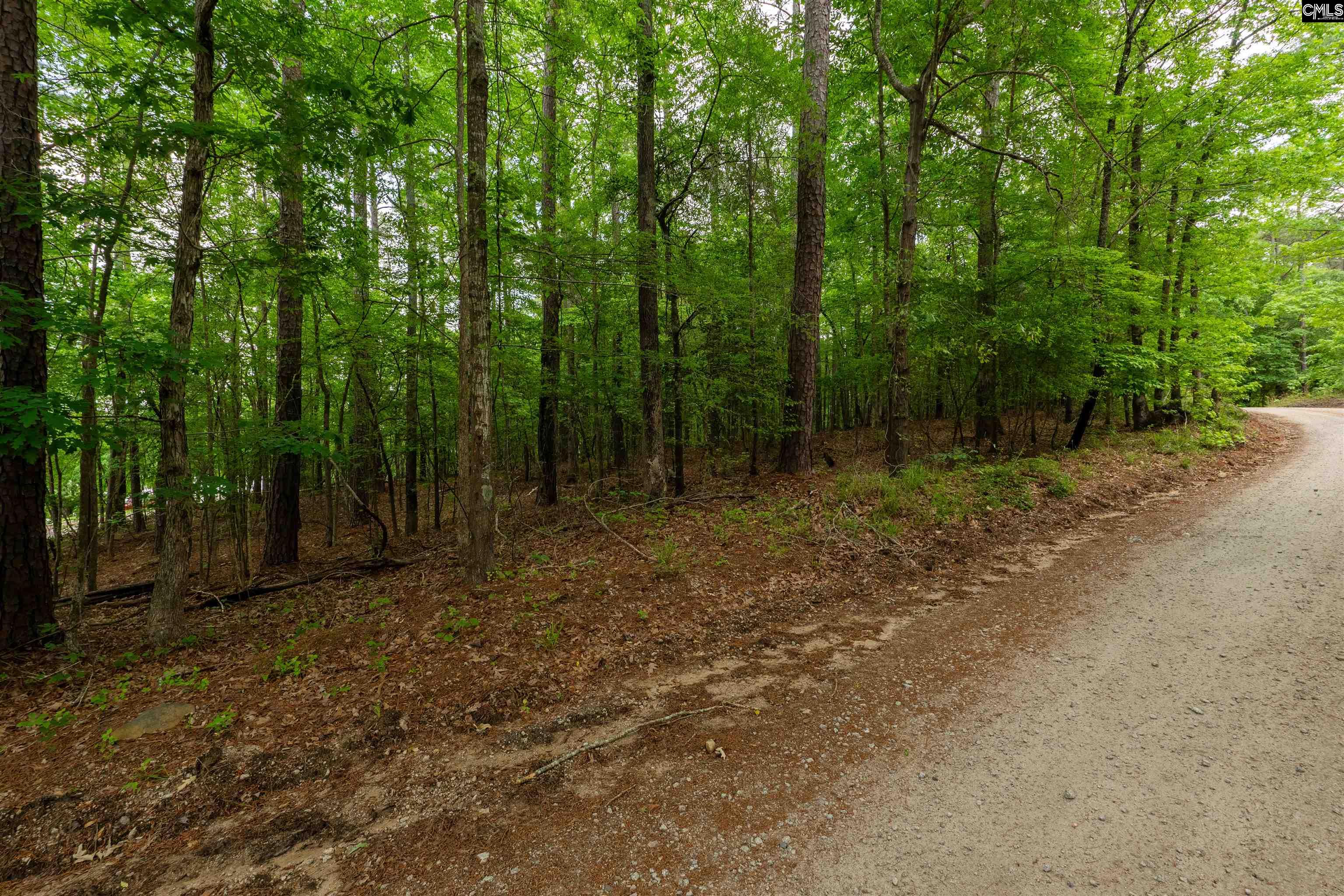  1427- Buck Hill Landing Road  Ridgeway, SC - 物件實景