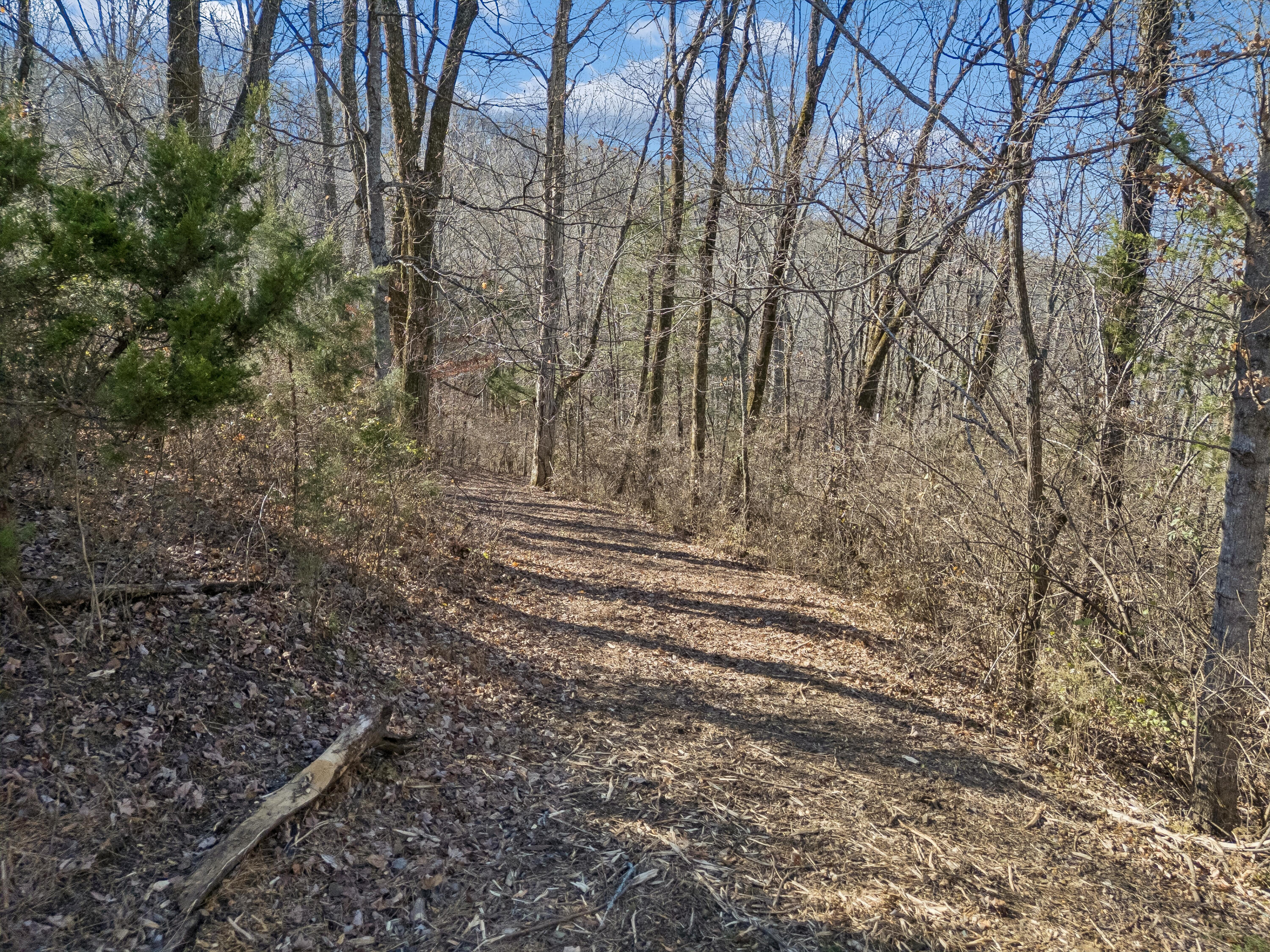 Brentwood, Tennessee, 37027, United States, ,Land,For Sale,2005446