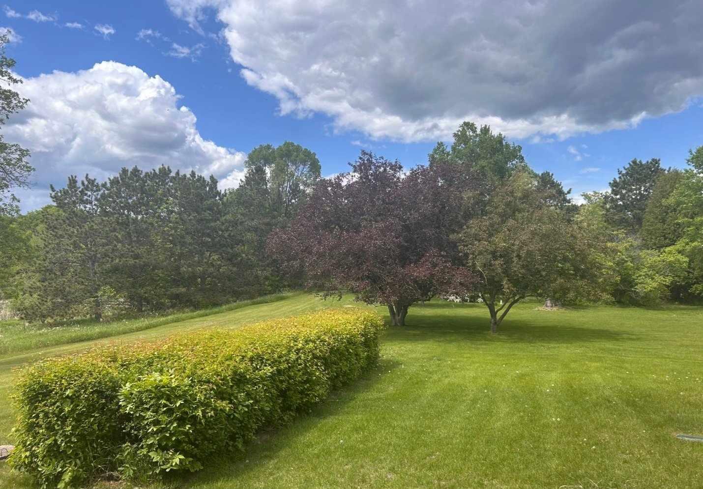 Ramsey, Minnesota, 55303, United States, 4 Bedrooms Bedrooms, ,1 BathroomBathrooms,Residential,For Sale,1743651