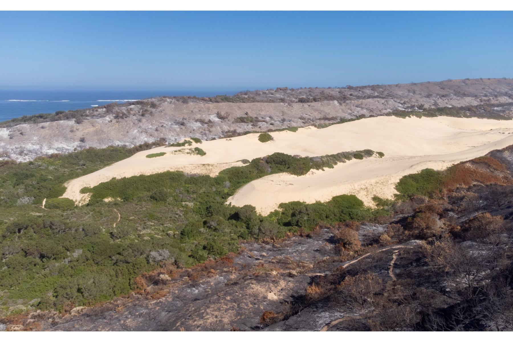  OYSTER BAY DEVELOPMENT LAND FOR SALE - 物件實景
