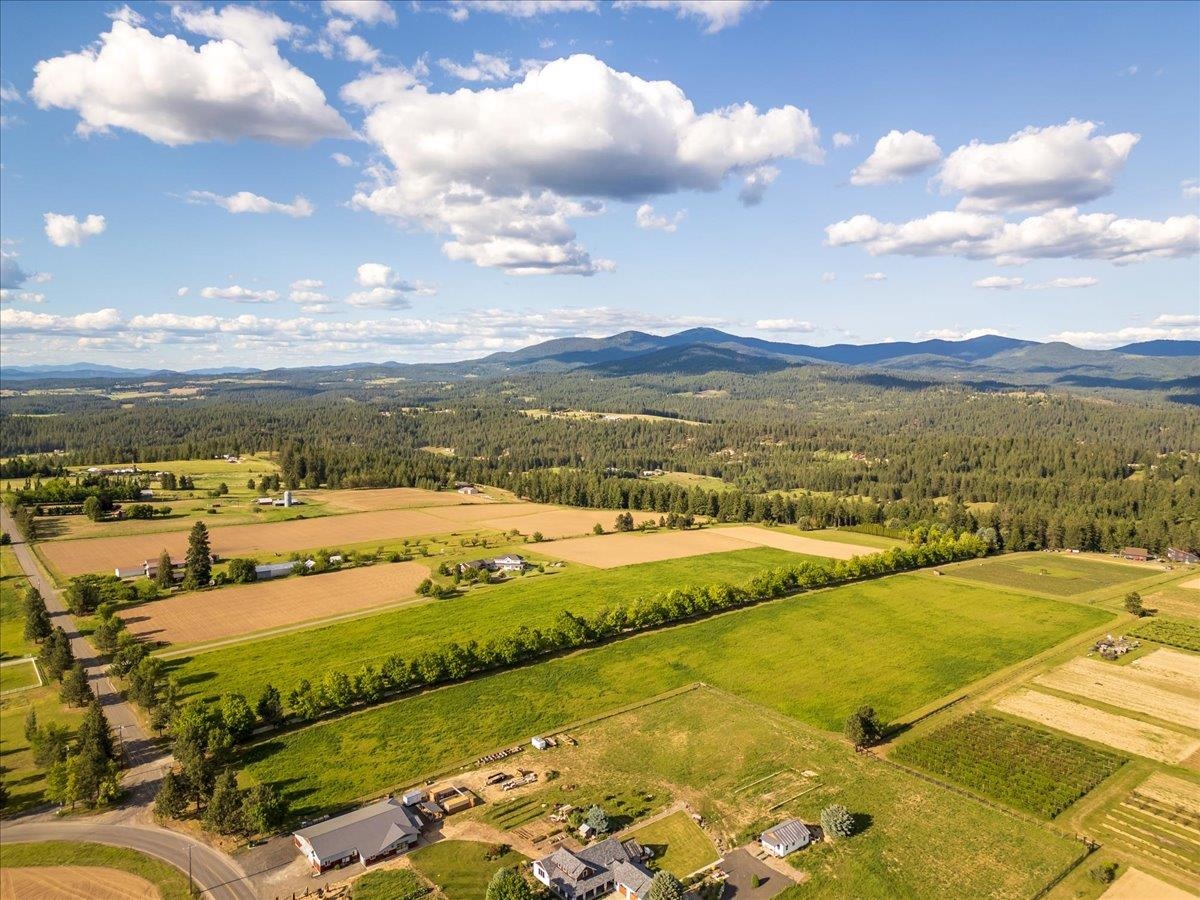 Mead, Washington, 99021, United States, ,Land,For Sale,1977316