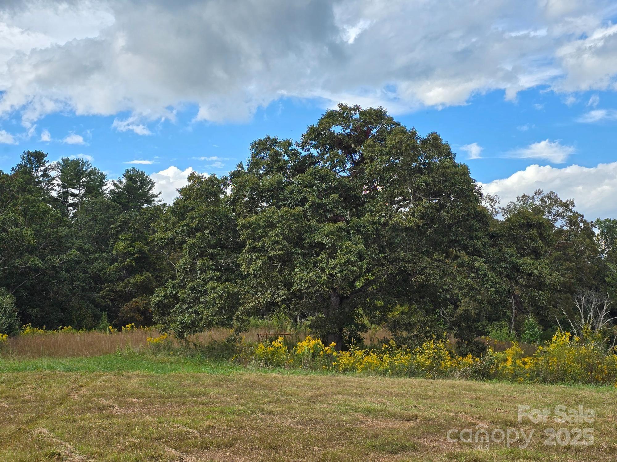 Mills River, North Carolina, 28759, United States, 3 Bedrooms Bedrooms, ,2 BathroomsBathrooms,Residential,For Sale,1982663