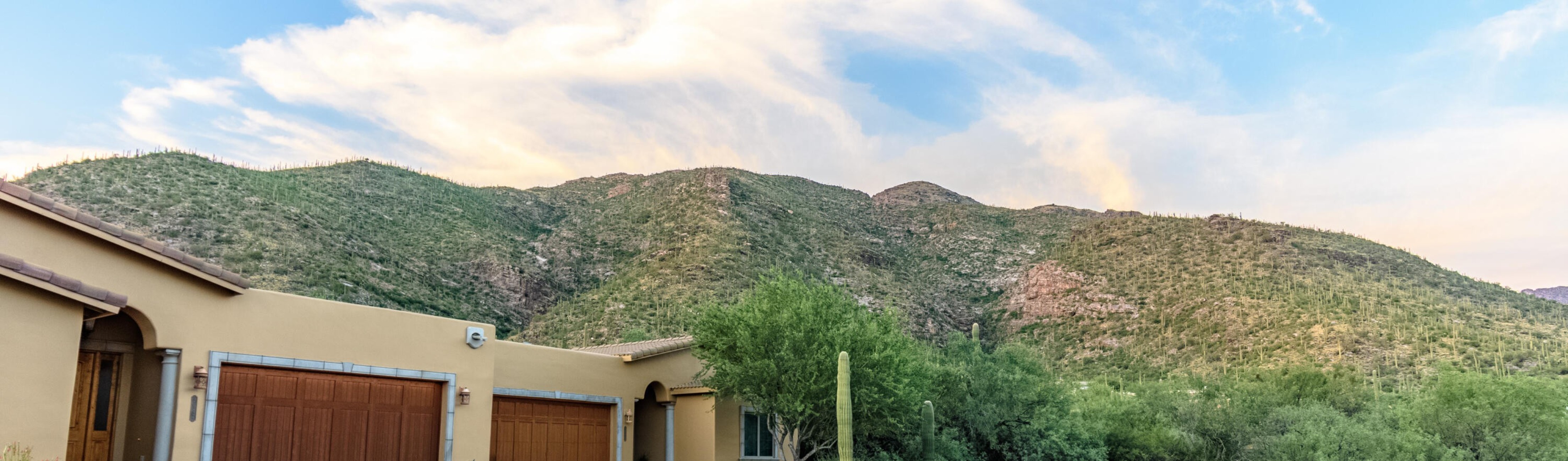  2615 E Via Corta dei Fiori¦Tucson, AZ - 物件實景