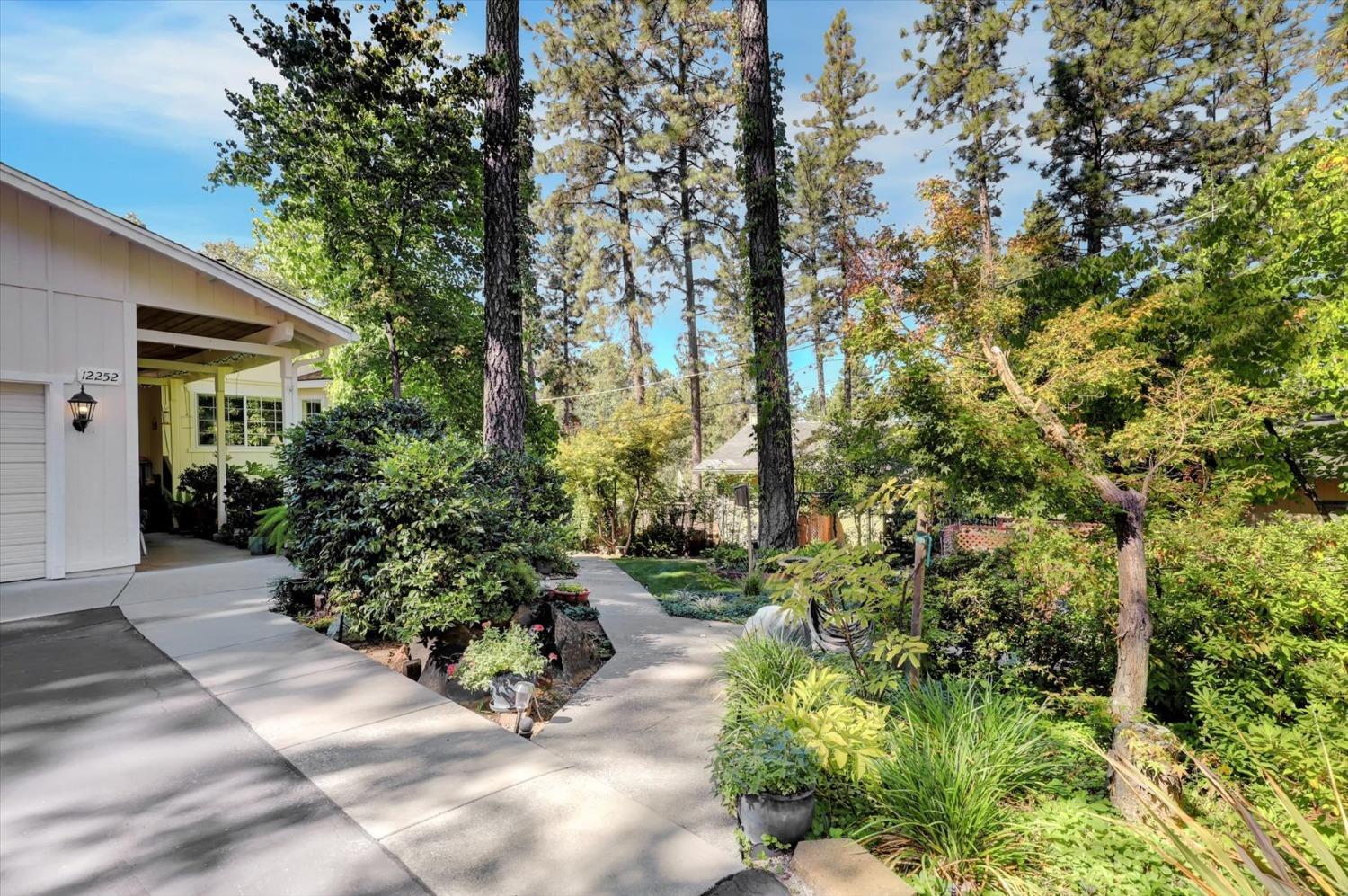 12252 Francis Drive, Grass Valley, California, 95949, United States, 3 Bedrooms Bedrooms, ,2 BathroomsBathrooms,Residential,For Sale,12252 Francis Drive,1631801