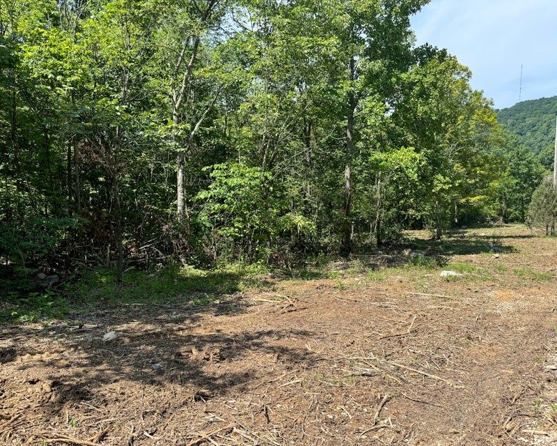 Somerset, Kentucky, 42501, United States, ,Residential,For Sale,1923151