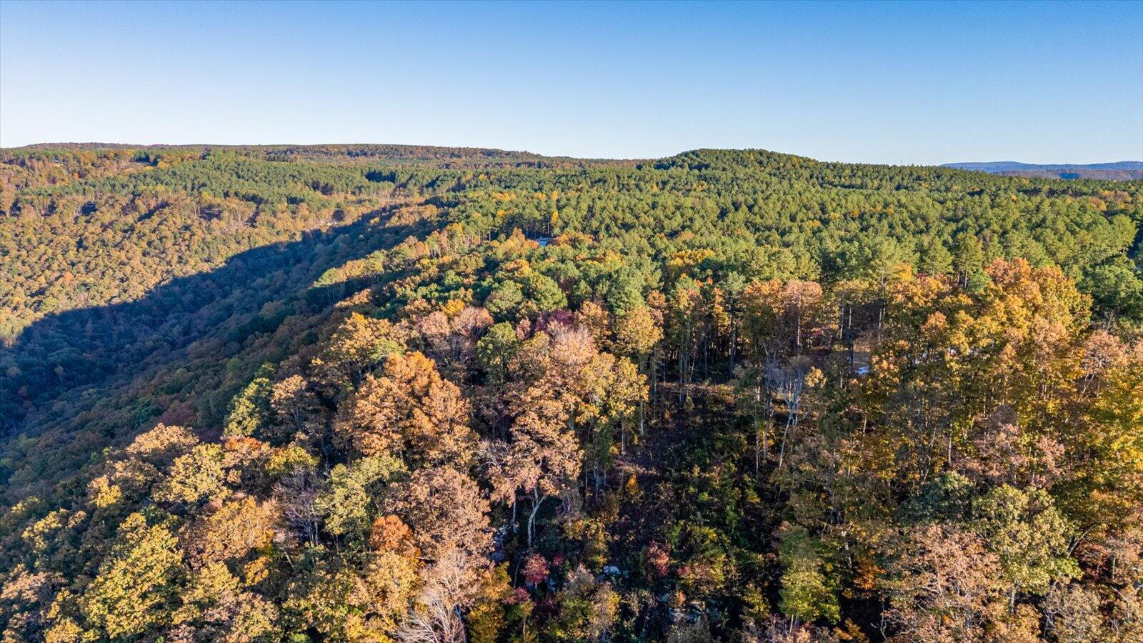 Guild, Tennessee, 37340, United States, ,Land,For Sale,1986106