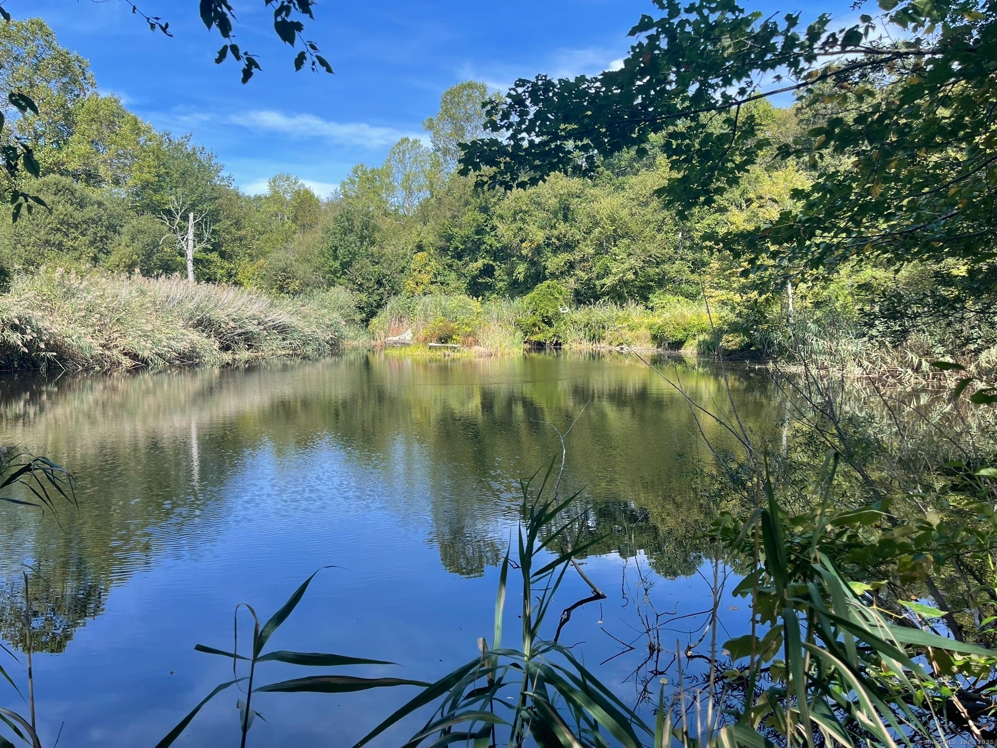 Old Lyme, Connecticut, 06371, United States, ,Land,For Sale,1979689