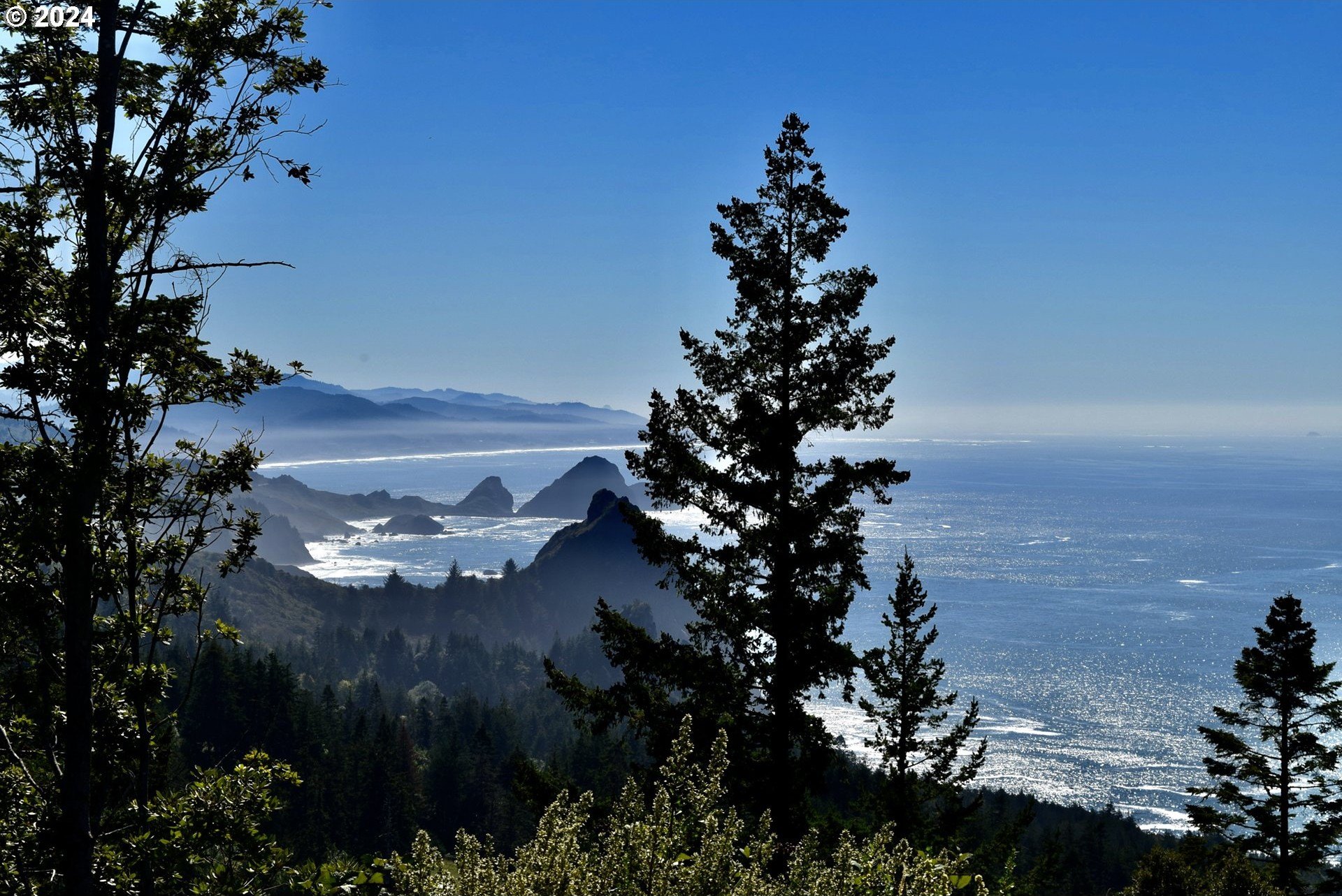 Port Orford, Oregon, 97465, United States, ,Land,For Sale,1977705