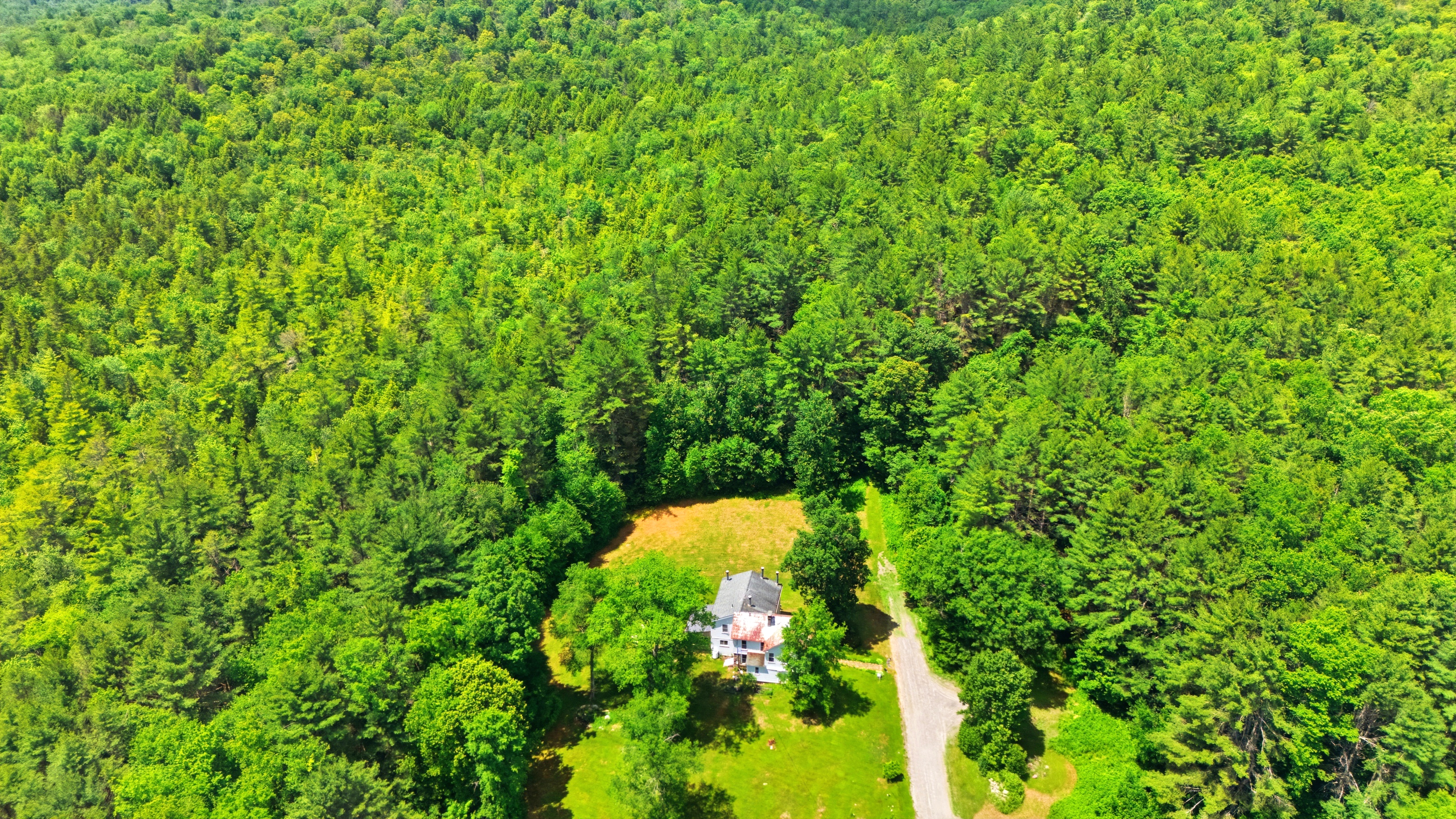  Historic 5 Bed Farmhouse on 60 Acres of Endless Possibility - 物件實景