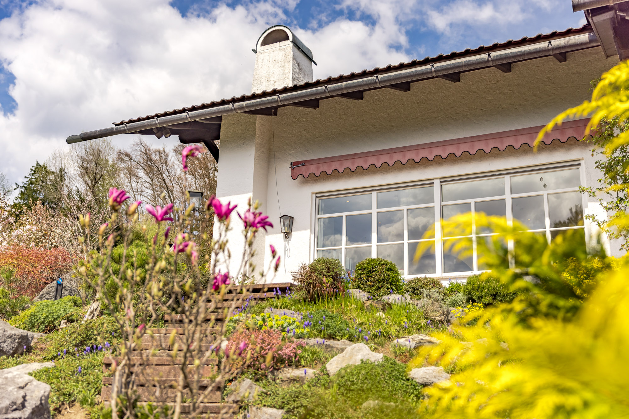  Alpine Living - Front Row to the Mountains - 物件實景