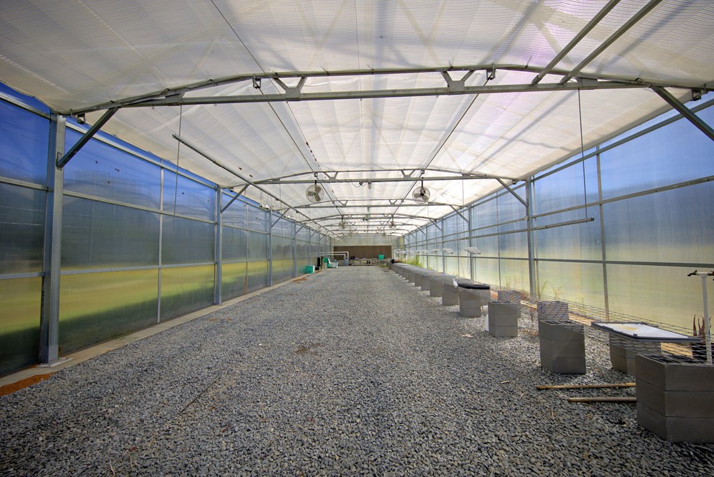 Pavo, Georgia, 31778, United States, ,Residential,For Sale,1988640