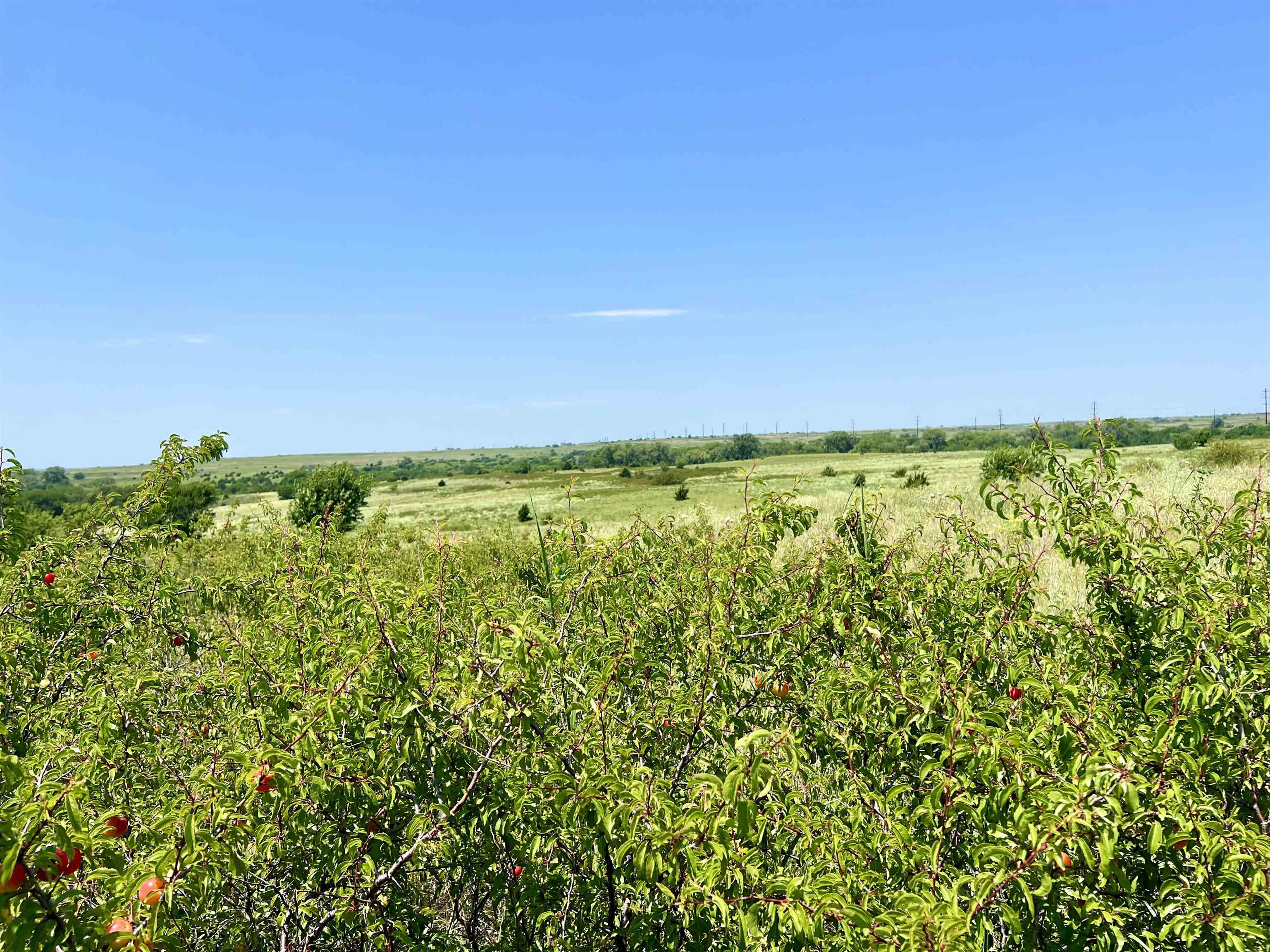 11292 NE Plumthicket Rd, Sharon, Kansas, 67138, United States, 6 Bedrooms Bedrooms, ,4 BathroomsBathrooms,Residential,For Sale,11292 NE Plumthicket Rd ,1559542