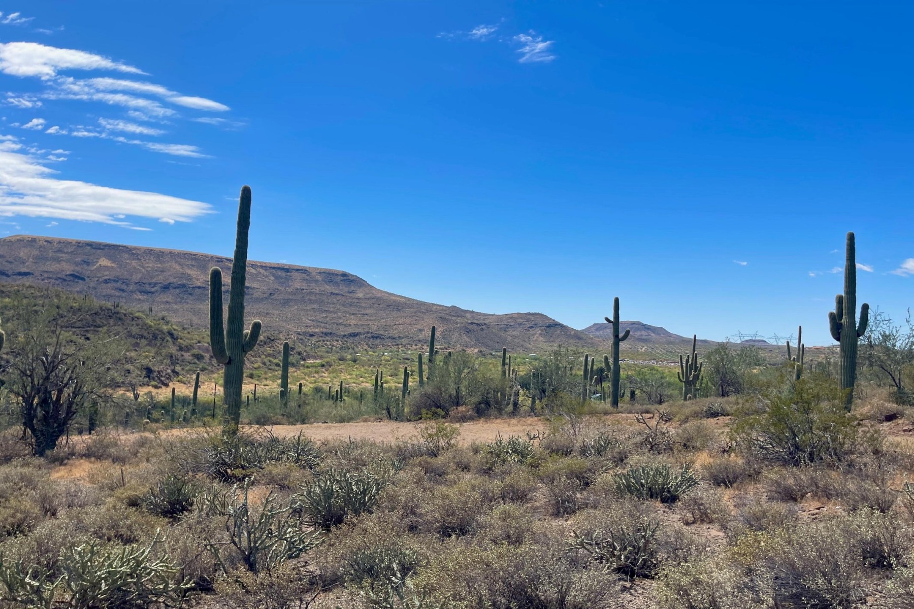  31900 S Tillys Trail¦Black Canyon City, AZ - 物件實景