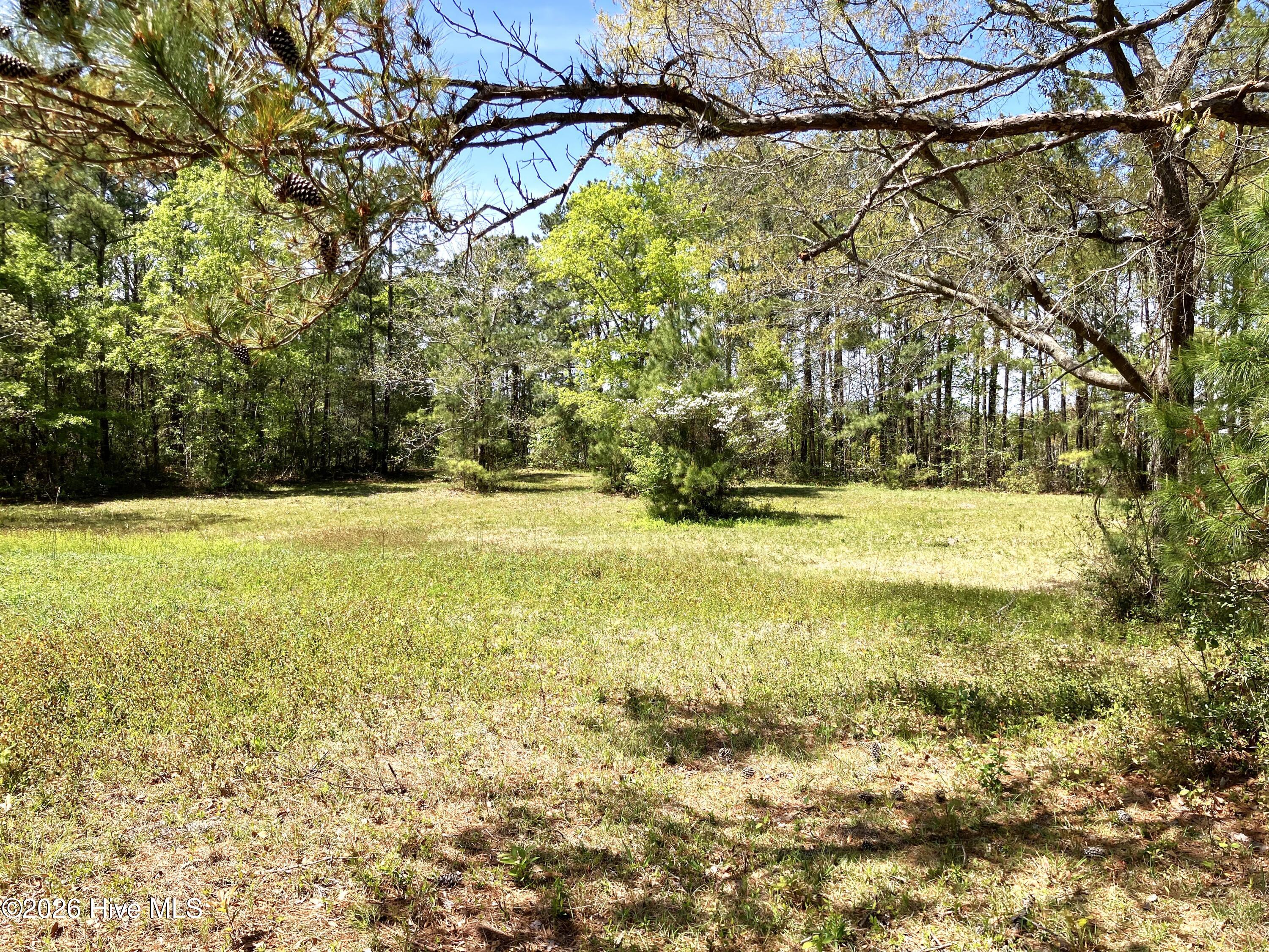 Havelock, North Carolina, 28532, United States, ,Land,For Sale,2035348