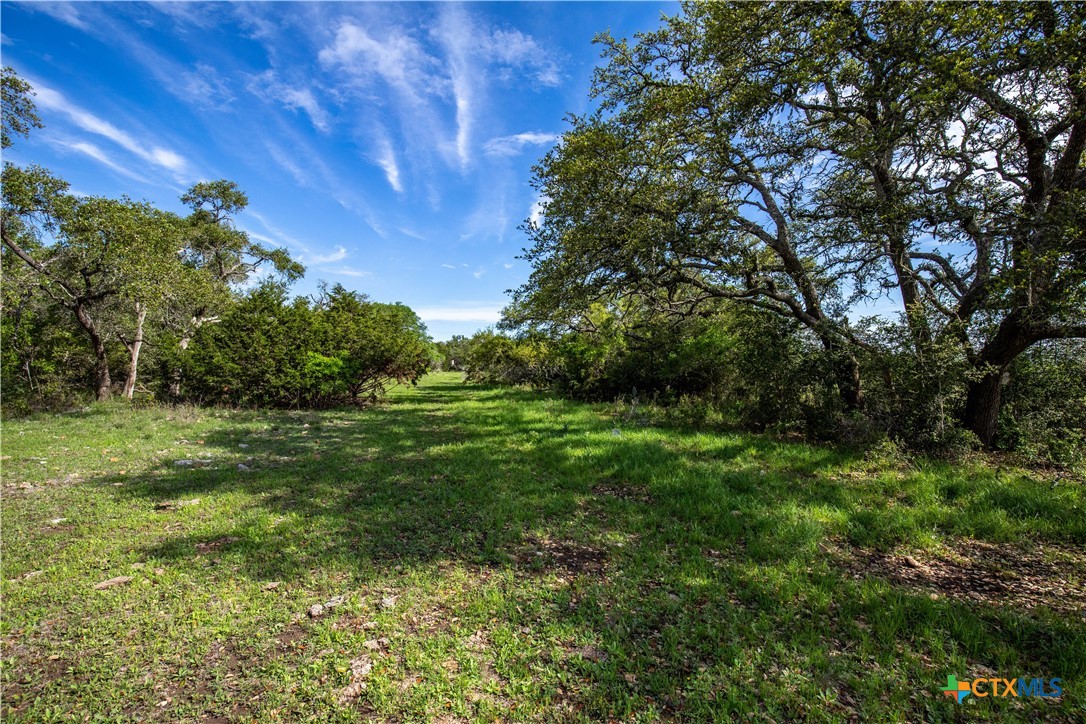 San Marcos, Texas, 78666, United States, ,Land,For Sale,1990898