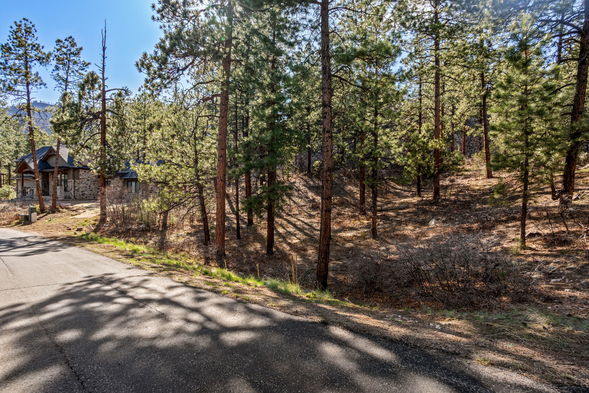  47 Ambush Canyon, Durango, CO 81301 - 物件實景