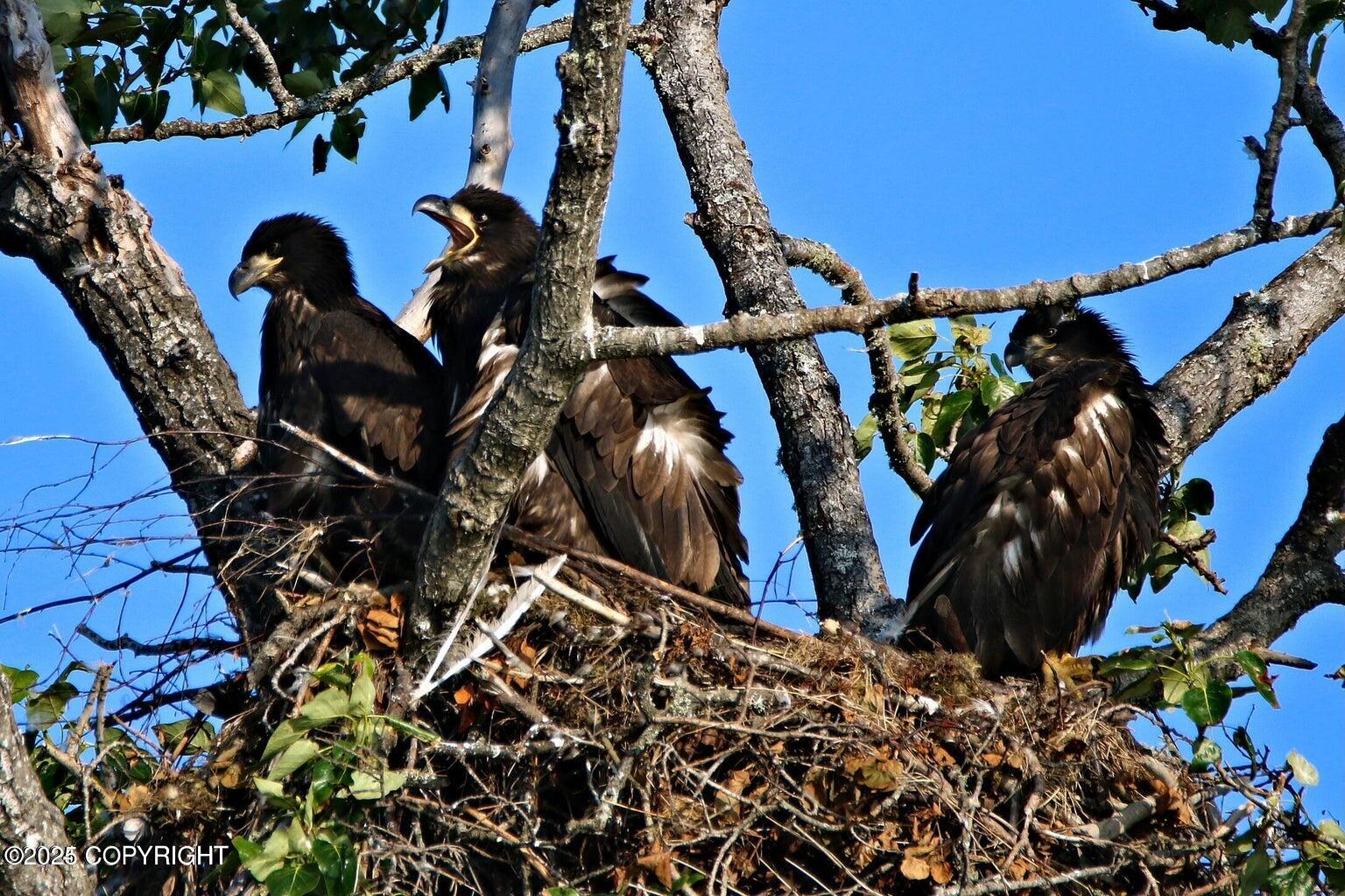 Kenai, Alaska, 99611, United States, 4 Bedrooms Bedrooms, ,5 BathroomsBathrooms,Residential,For Sale,1974536