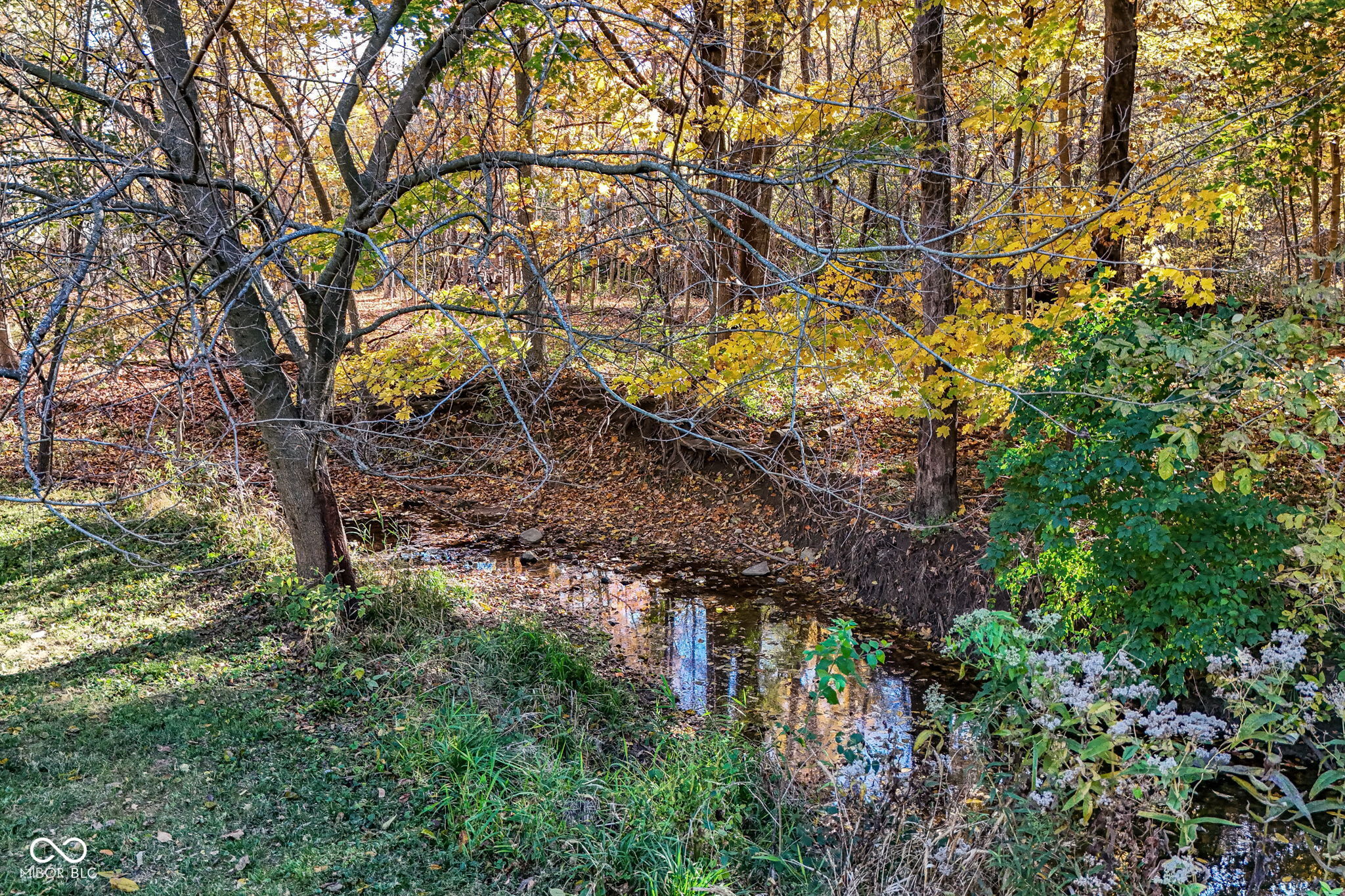 Cicero, Indiana, 46034, United States, 4 Bedrooms Bedrooms, ,4 BathroomsBathrooms,Residential,For Sale,2005154