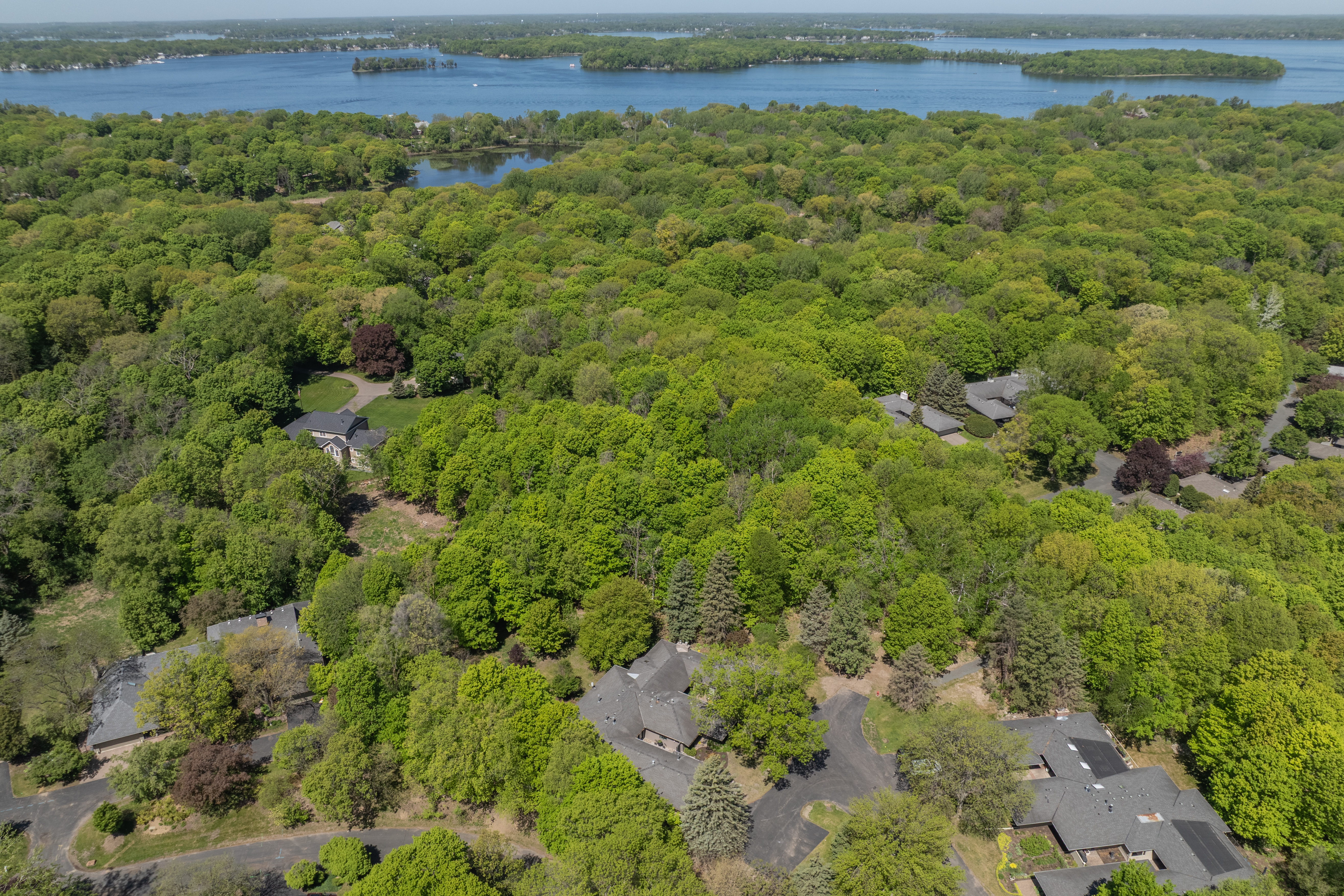 Elevated Living Near Excelsior and Lake Minnetonka - 物件實景