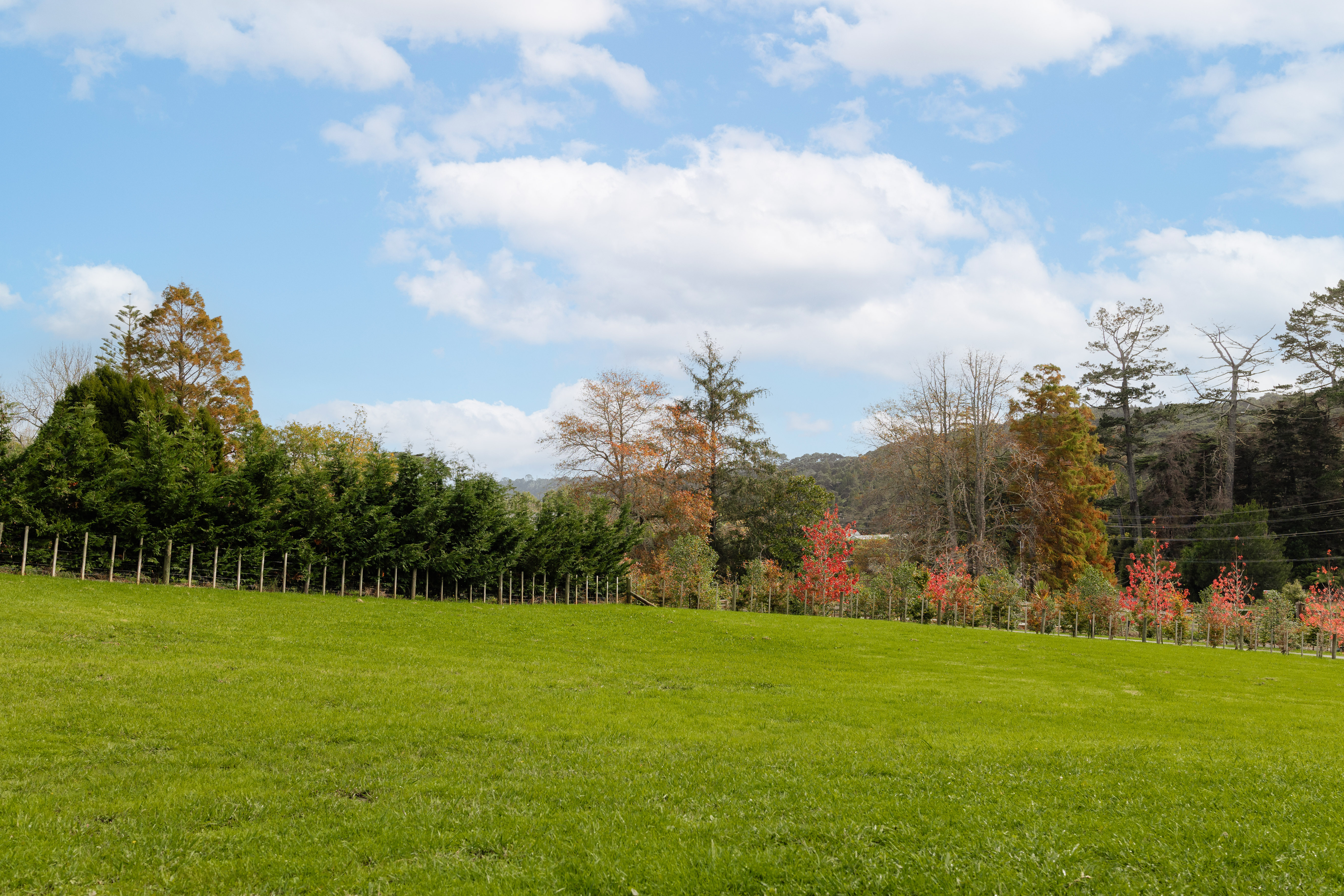  152 Mahoenui Valley Rd, Coatesville - 物件實景