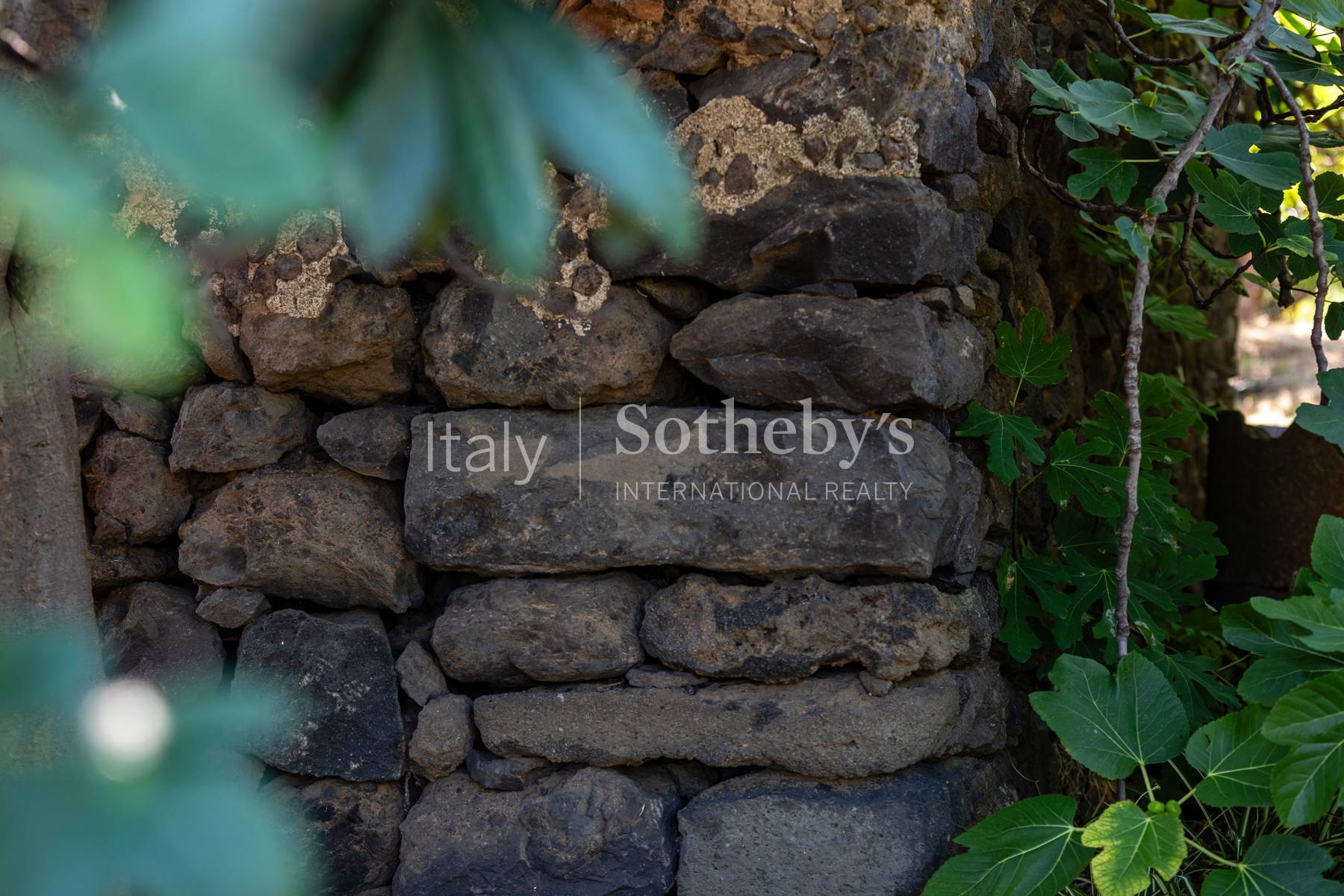  An authentic Sicilian residence among citrus groves, the sea and Mount Etna - 物件實景