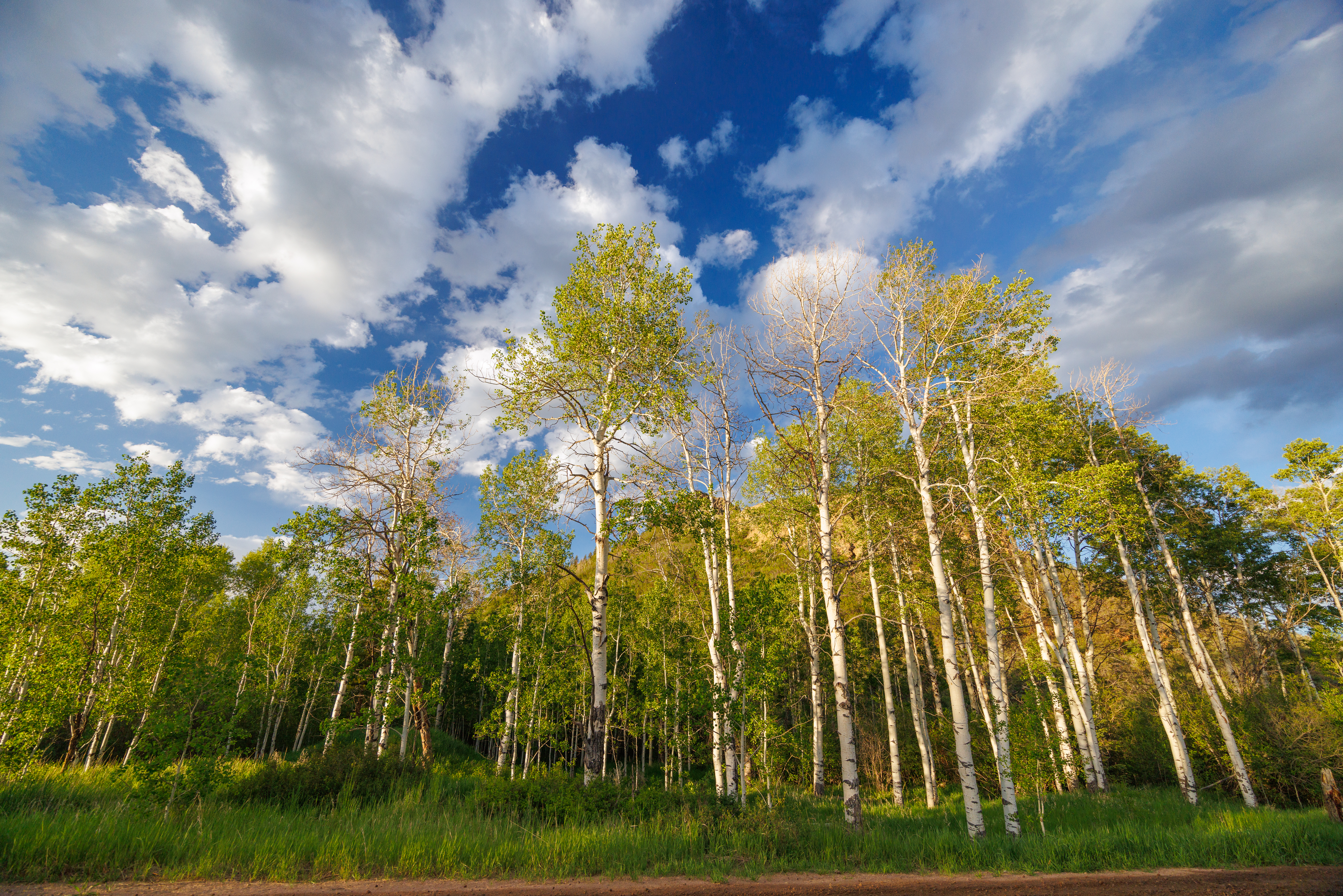  Prime High-Density Residential Development Opportunity in Stagecoach, Colorado - 物件實景