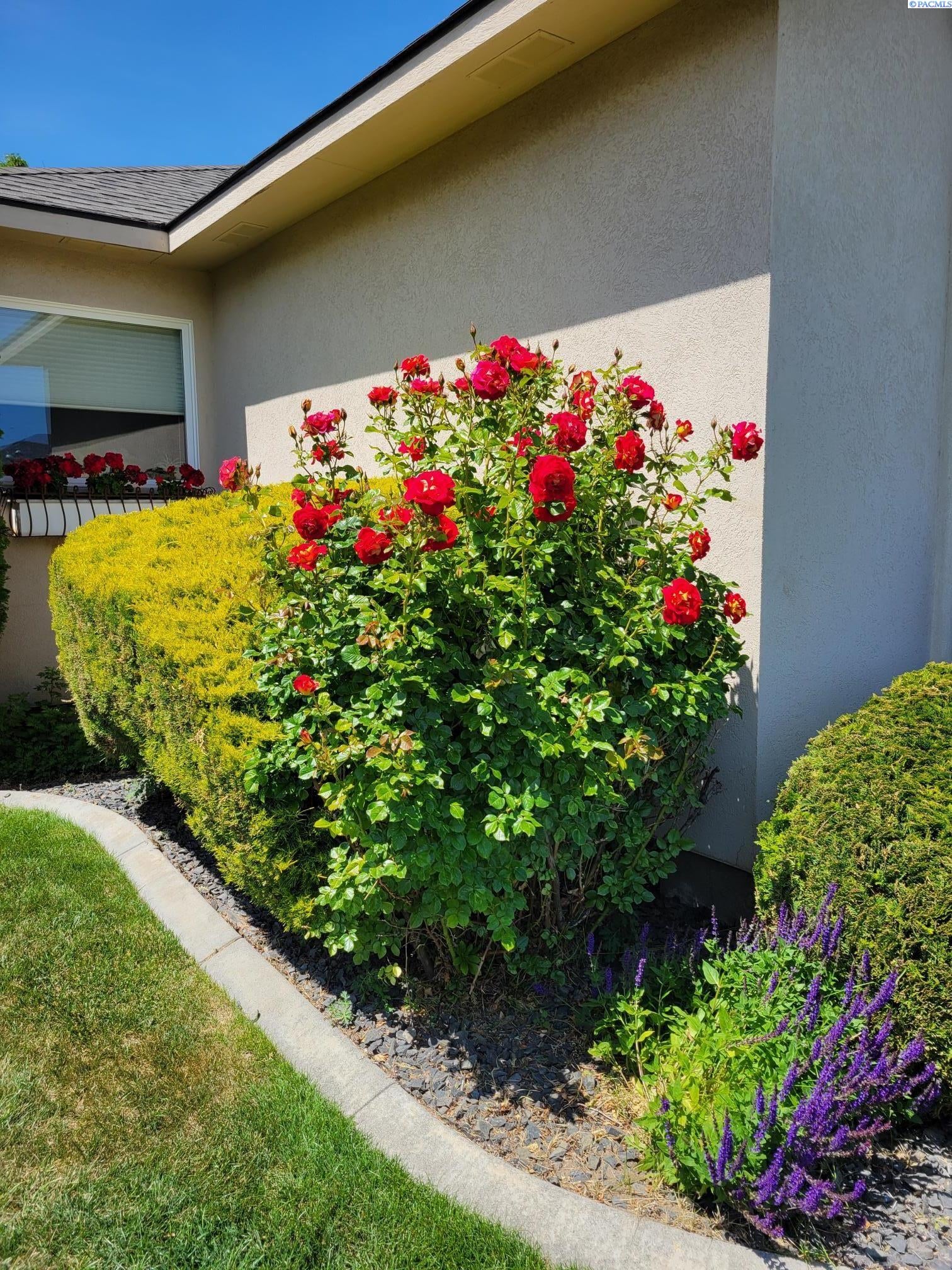 Richland, Washington, 99352, United States, 3 Bedrooms Bedrooms, ,3 BathroomsBathrooms,Residential,For Sale,1921029