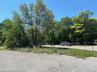 Belleville, Michigan, 48111, United States, ,Land,For Sale,1806116
