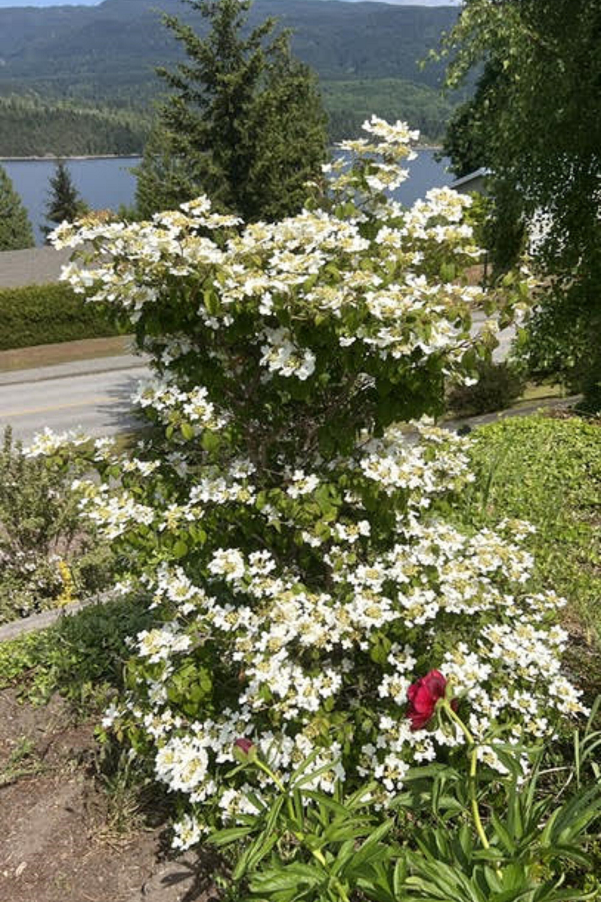  Sechelt, Sunshine Coast - 物件實景