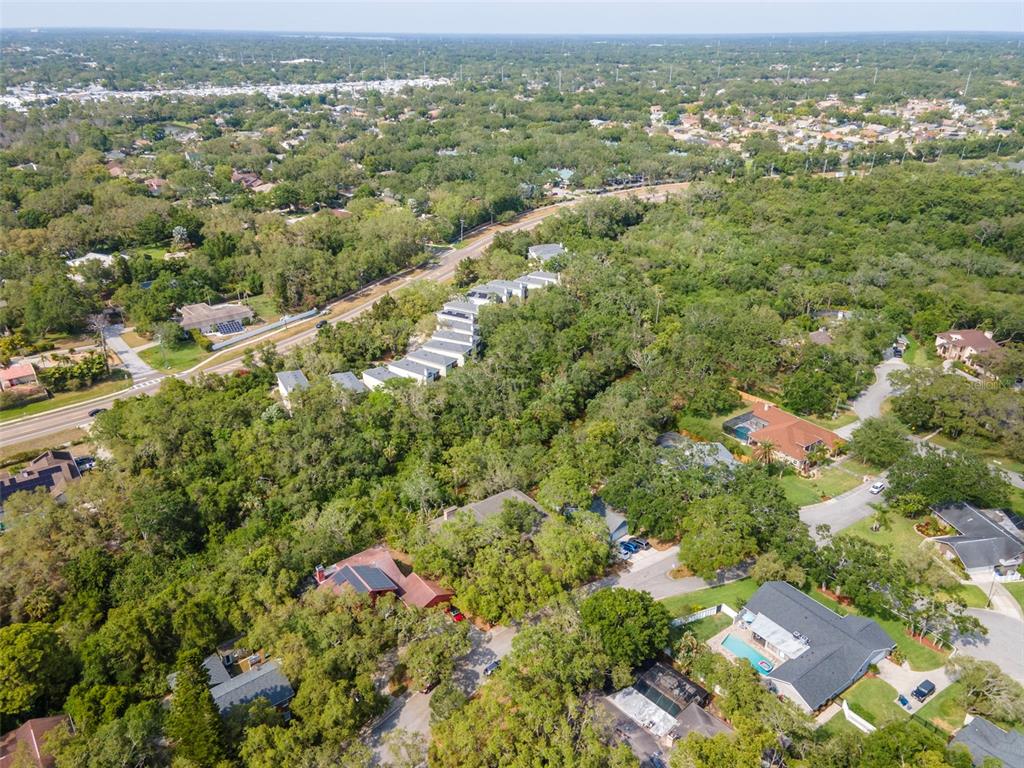 Dunedin, Florida, 34698, United States, 4 Bedrooms Bedrooms, ,5 BathroomsBathrooms,Residential,For Sale,1987490