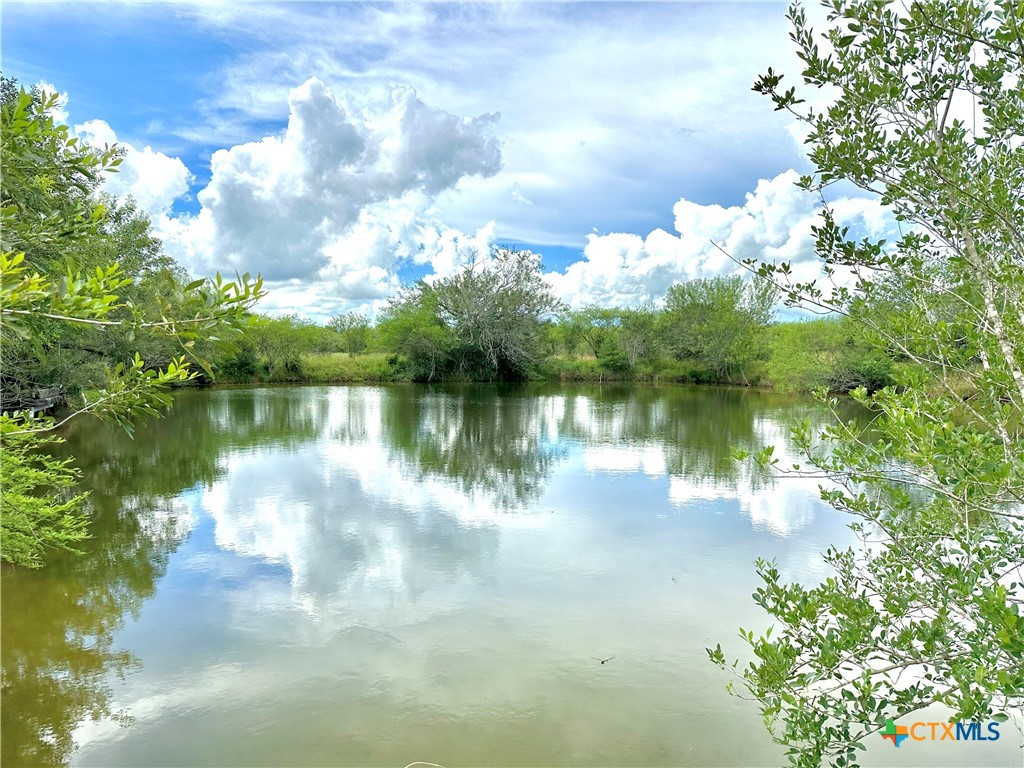 Nursery, Texas, 77976, United States, ,Land,For Sale,1885536
