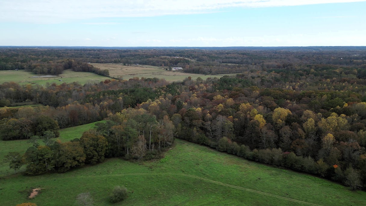 Bowdon, Georgia, 30108, United States, ,Land,For Sale,1989904